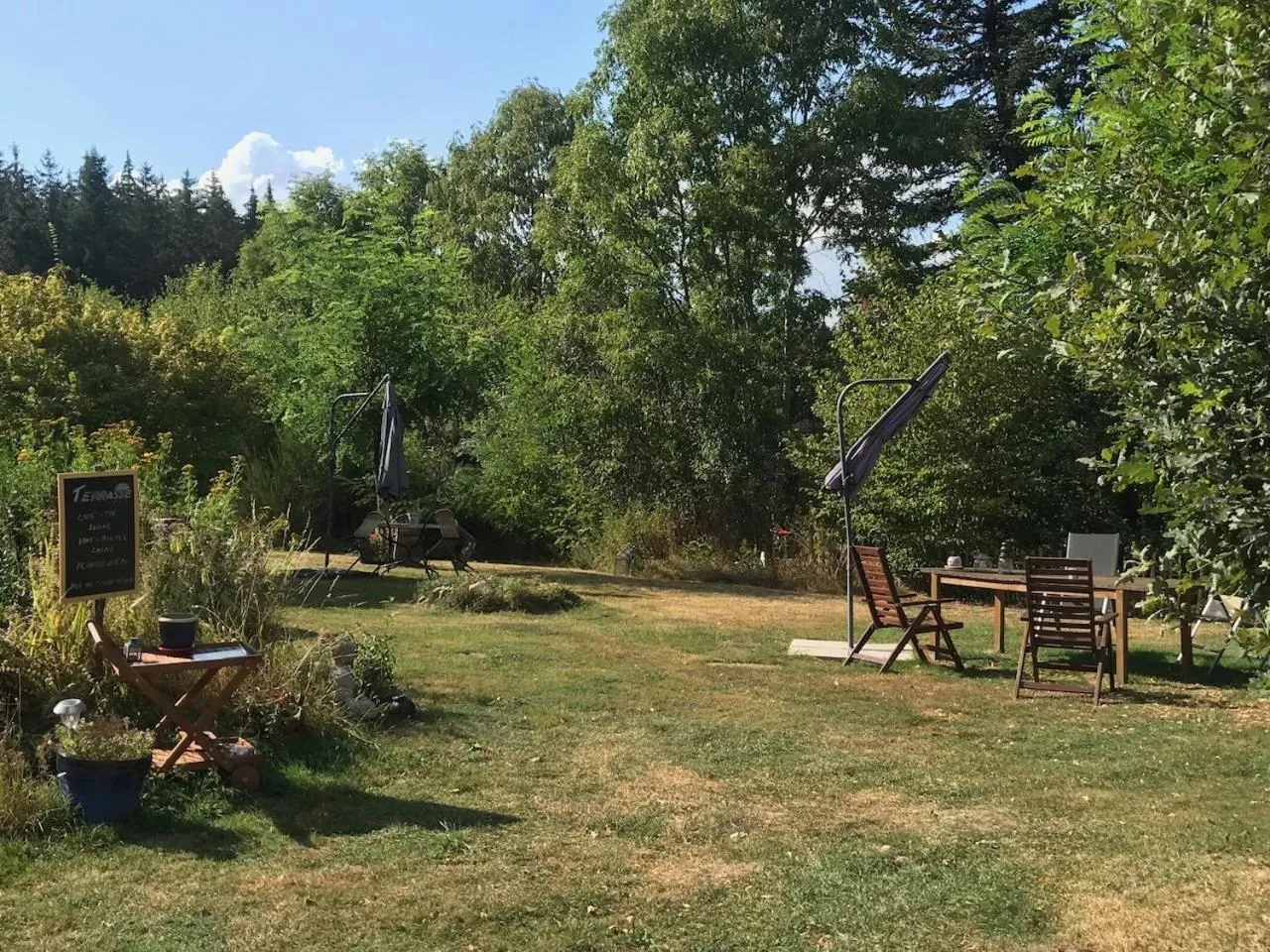 Garden in Chambres d'Hôtes La Fougeraie