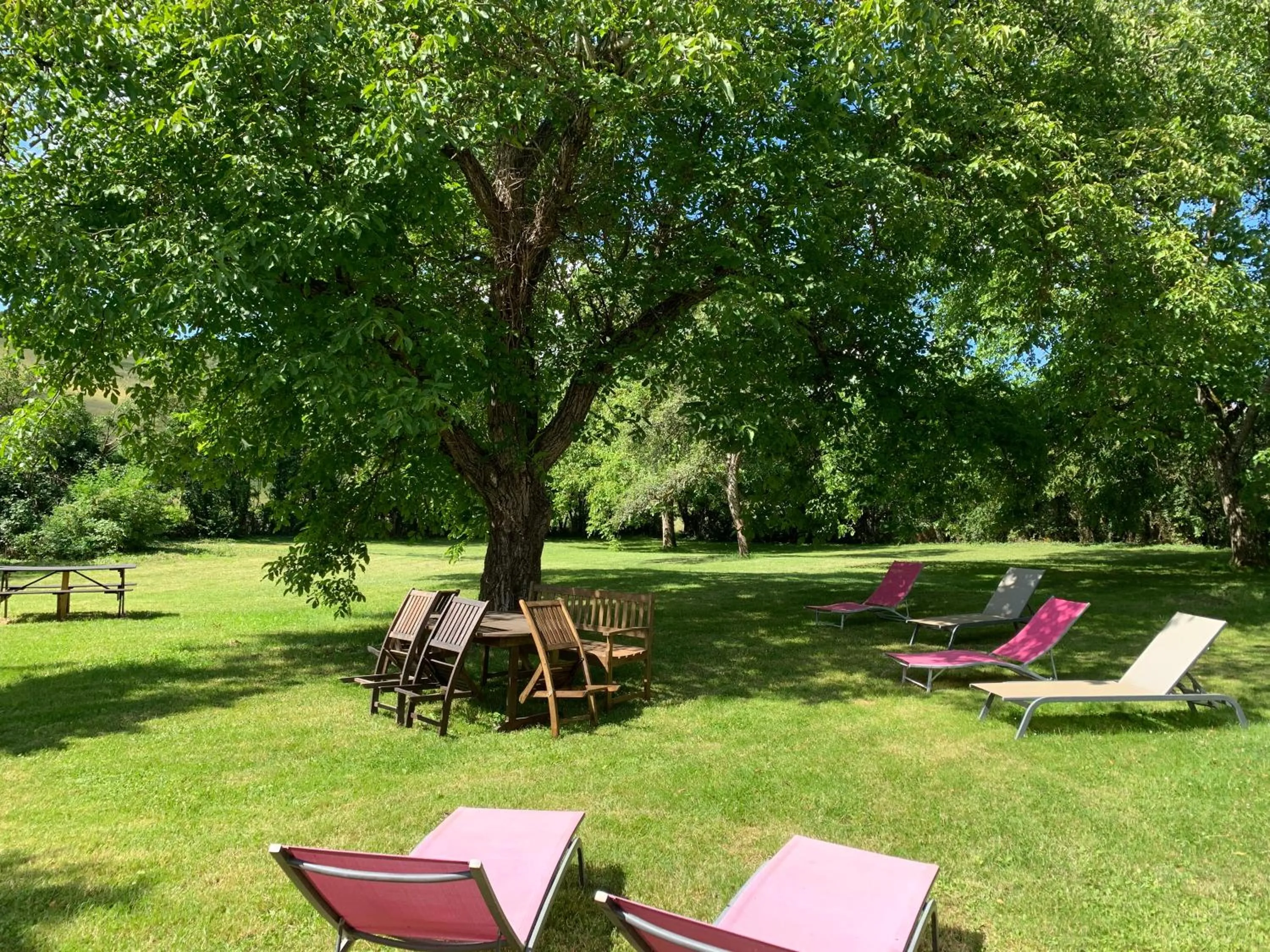 Garden view in Domaine Les Bertrands