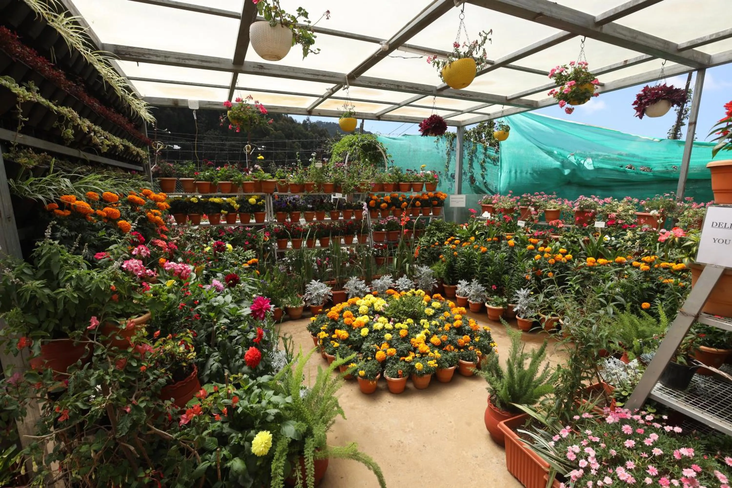 Garden in Delightz Inn