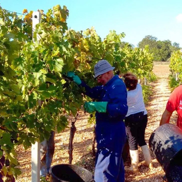 Staff in Trulli Panoramici