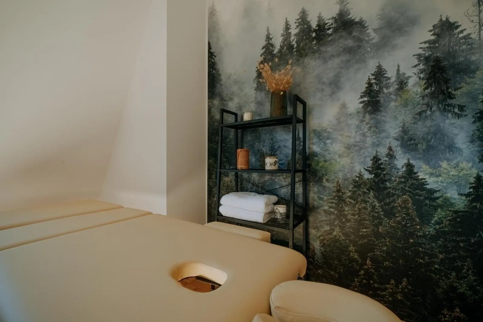 Massage in Dom Wypoczynkowy U Staszla