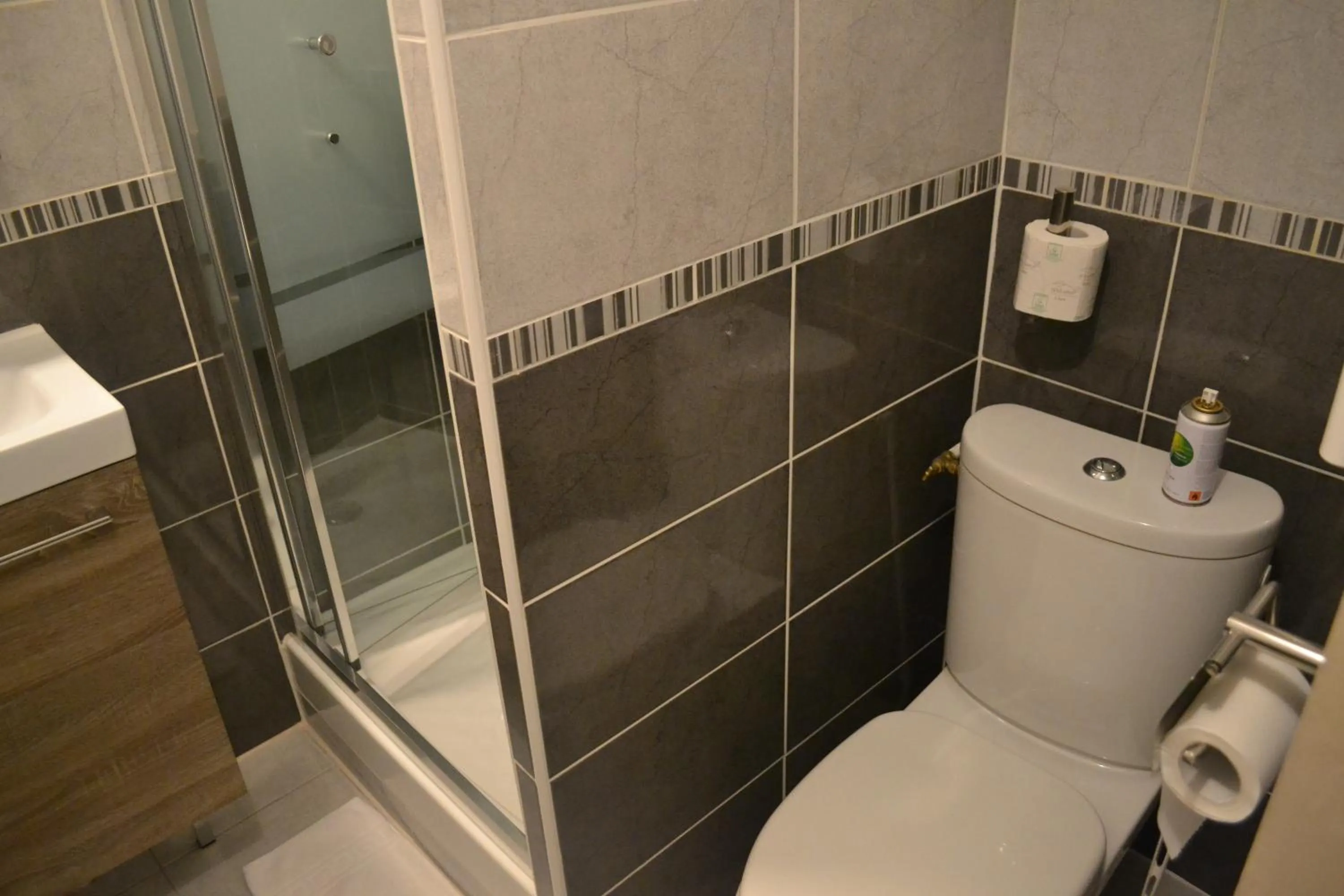 Toilet in Logis-Hôtel & Restaurant LE CARNOT