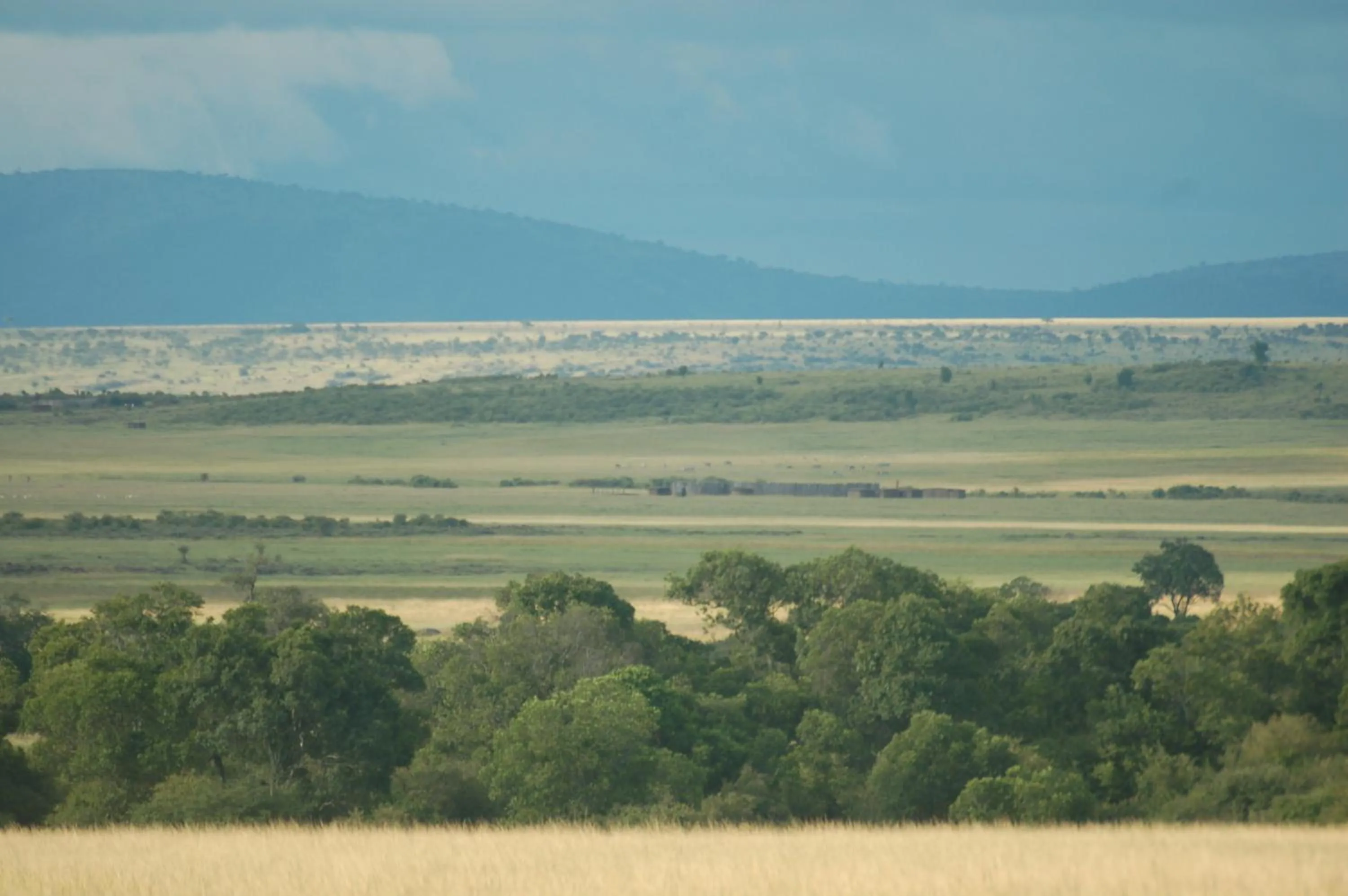 Day in Mara Intrepids Tented Camp