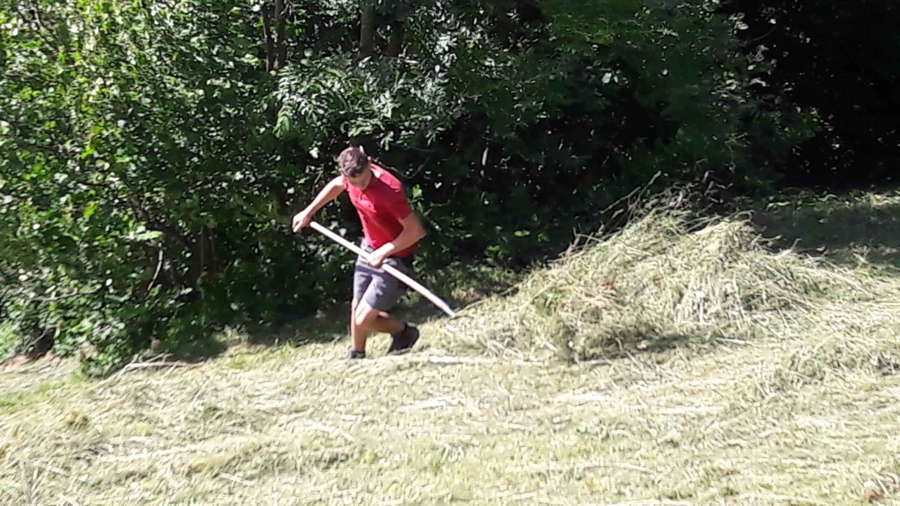 Activities in Panoramahof Eggele