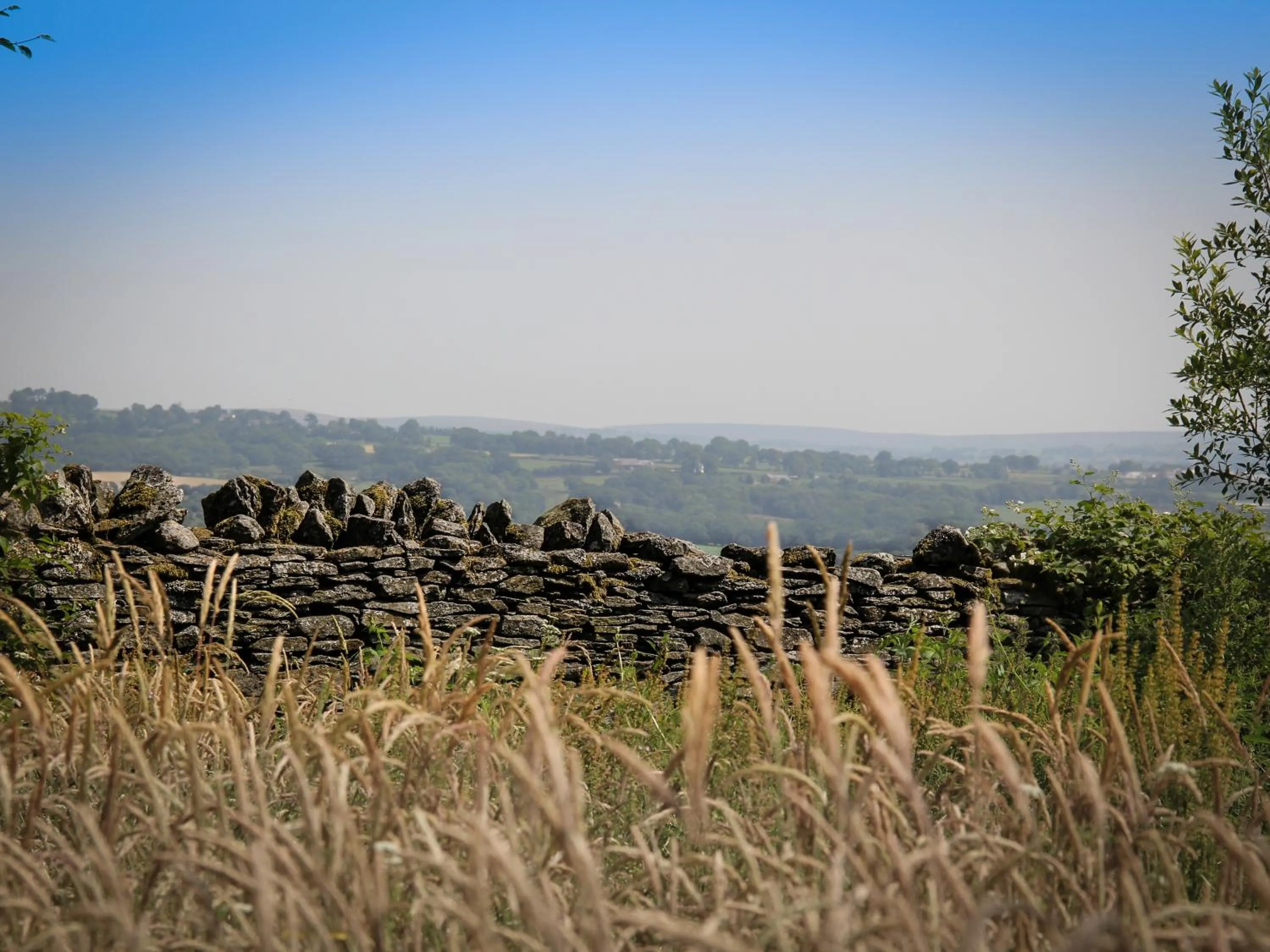 Natural landscape in Llechwen Hall