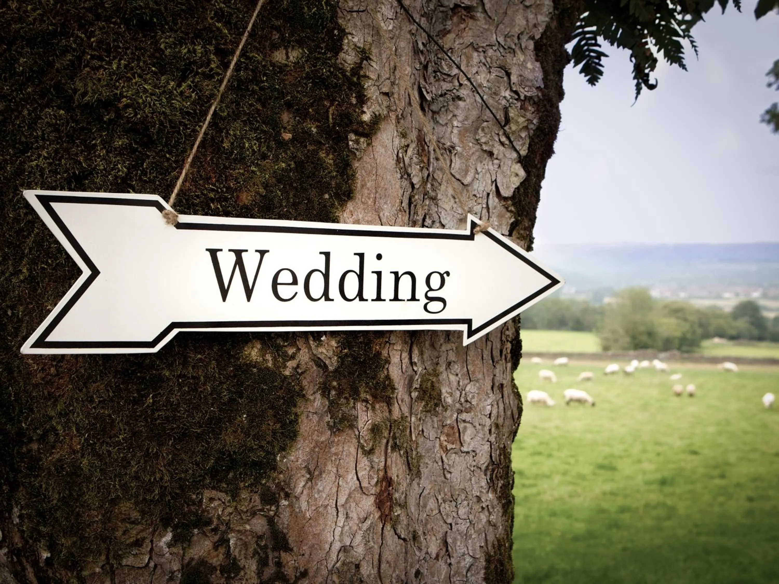 Logo/Certificate/Sign in Llechwen Hall