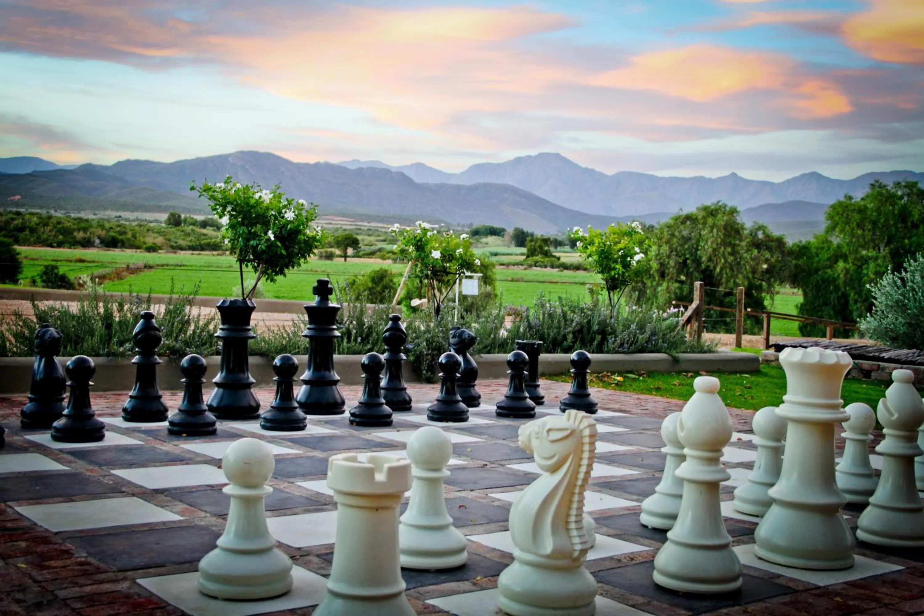 View (from property/room) in Surval Boutique Olive Estate