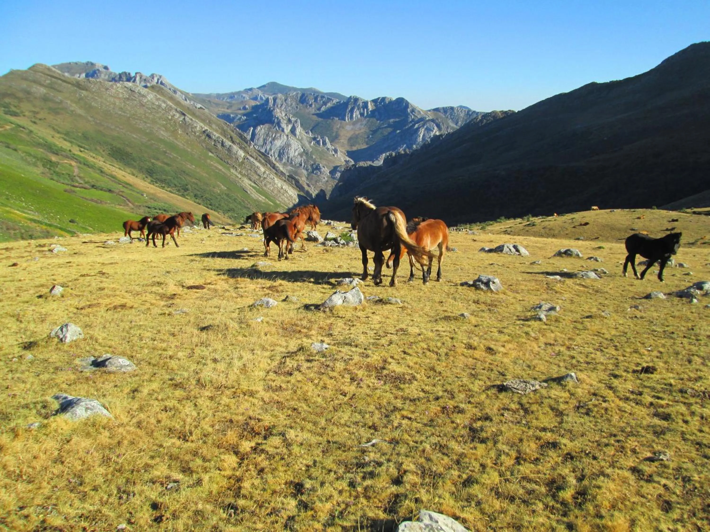 Area and facilities in Balneario Caldas de Luna