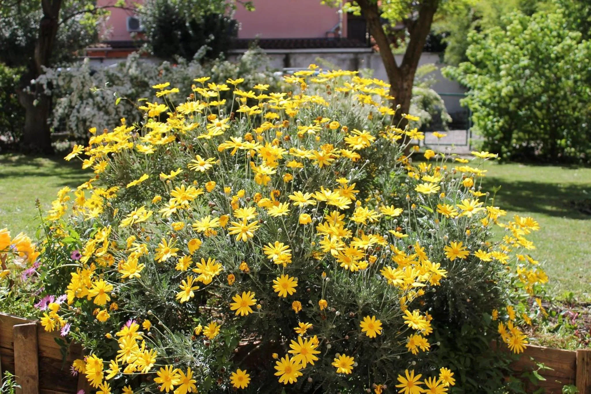 Garden in Casa Munay