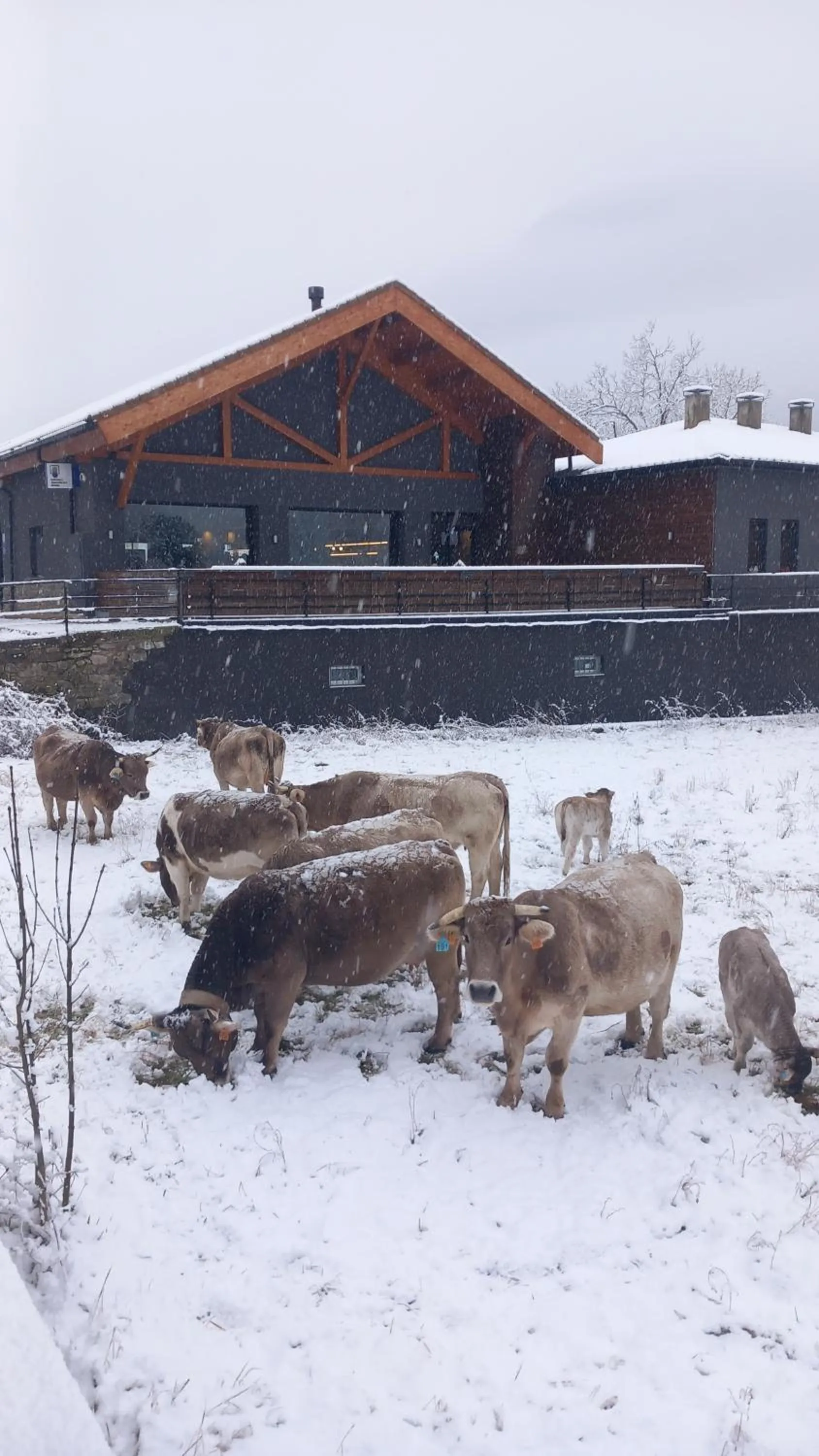 Restaurant/places to eat in Hotel Cotiella