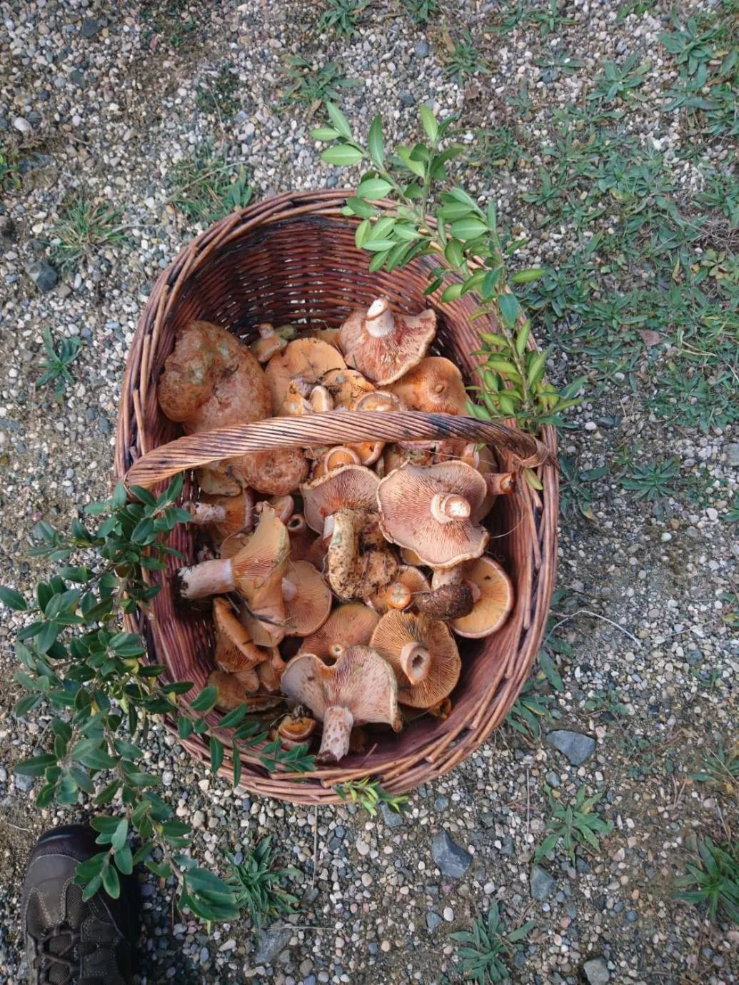 Activities in Hotel Cotiella