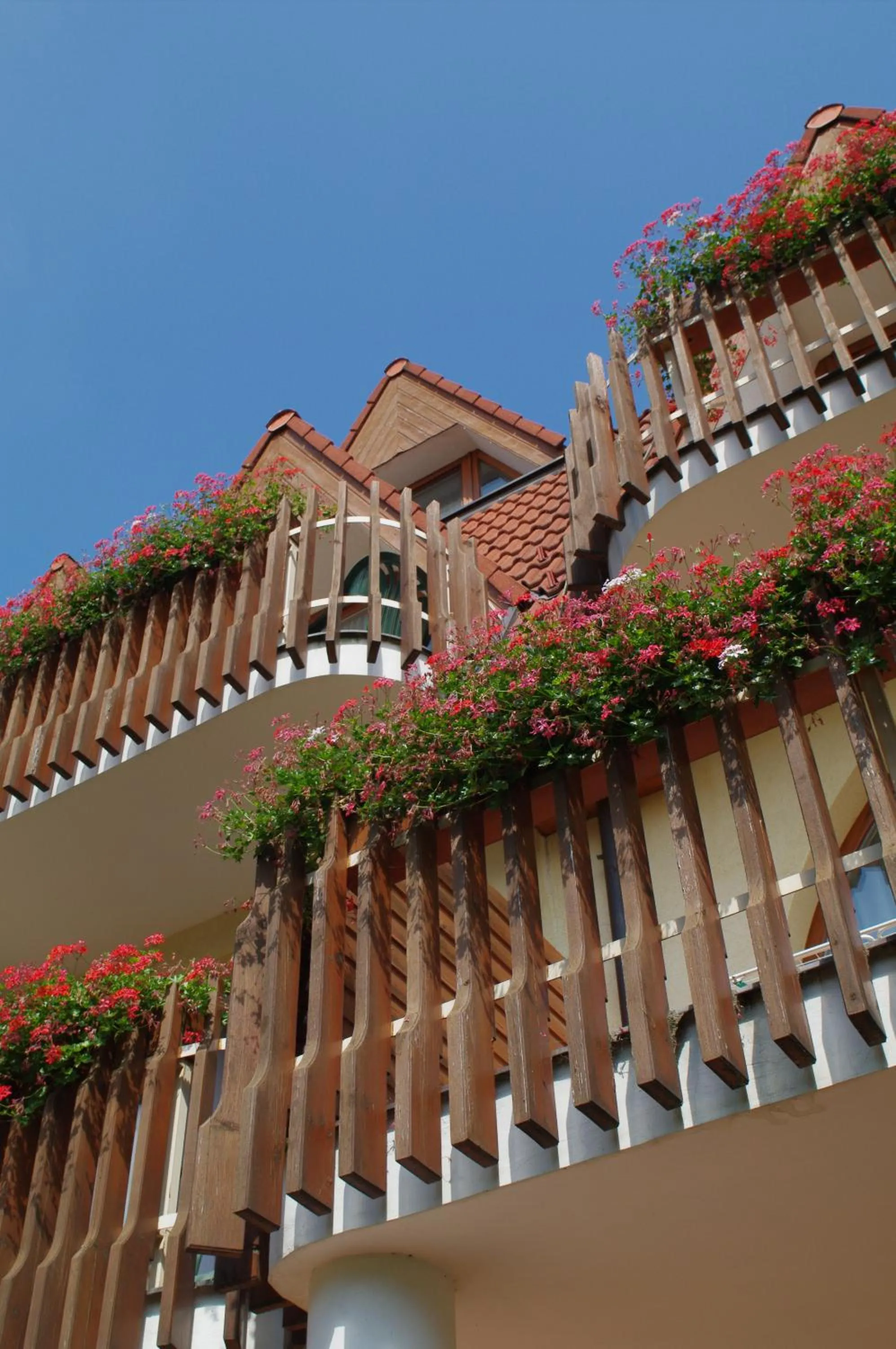 Garden in Ágnes Hotel