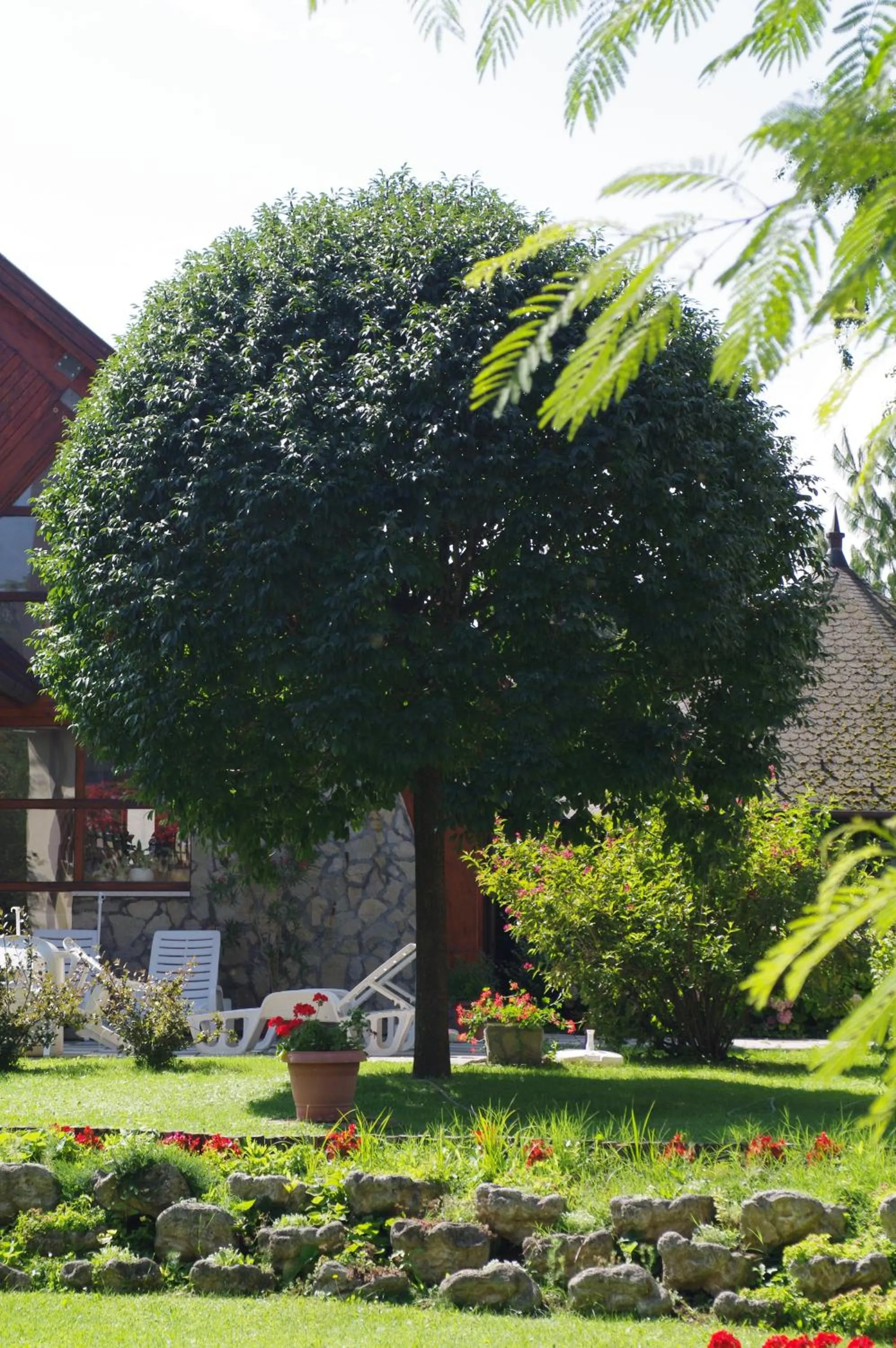 Garden in Ágnes Hotel