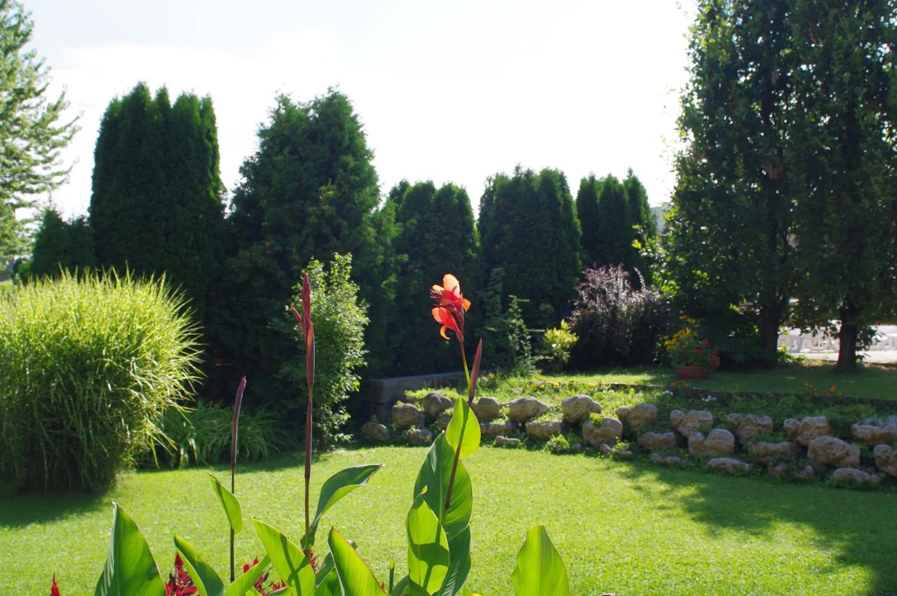 Garden in Ágnes Hotel