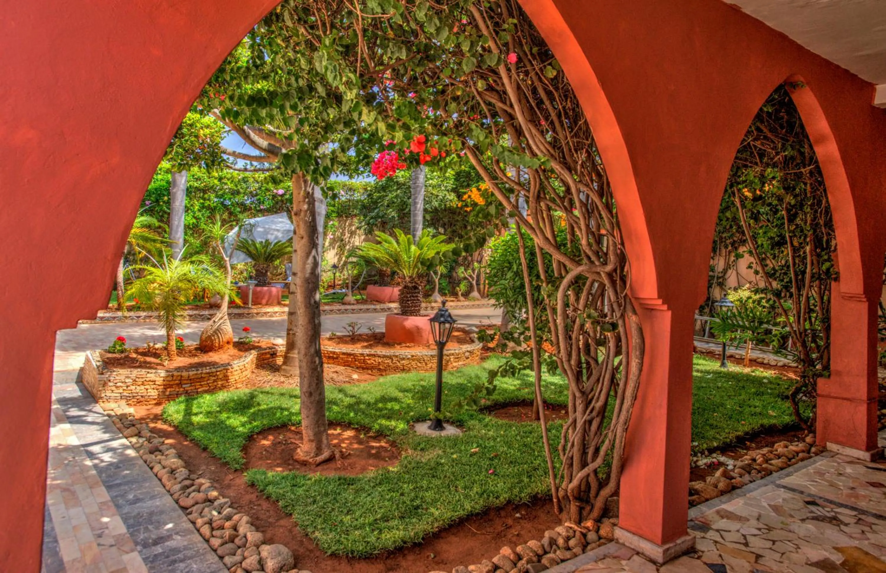 Garden in LHOSTEL à Casablanca