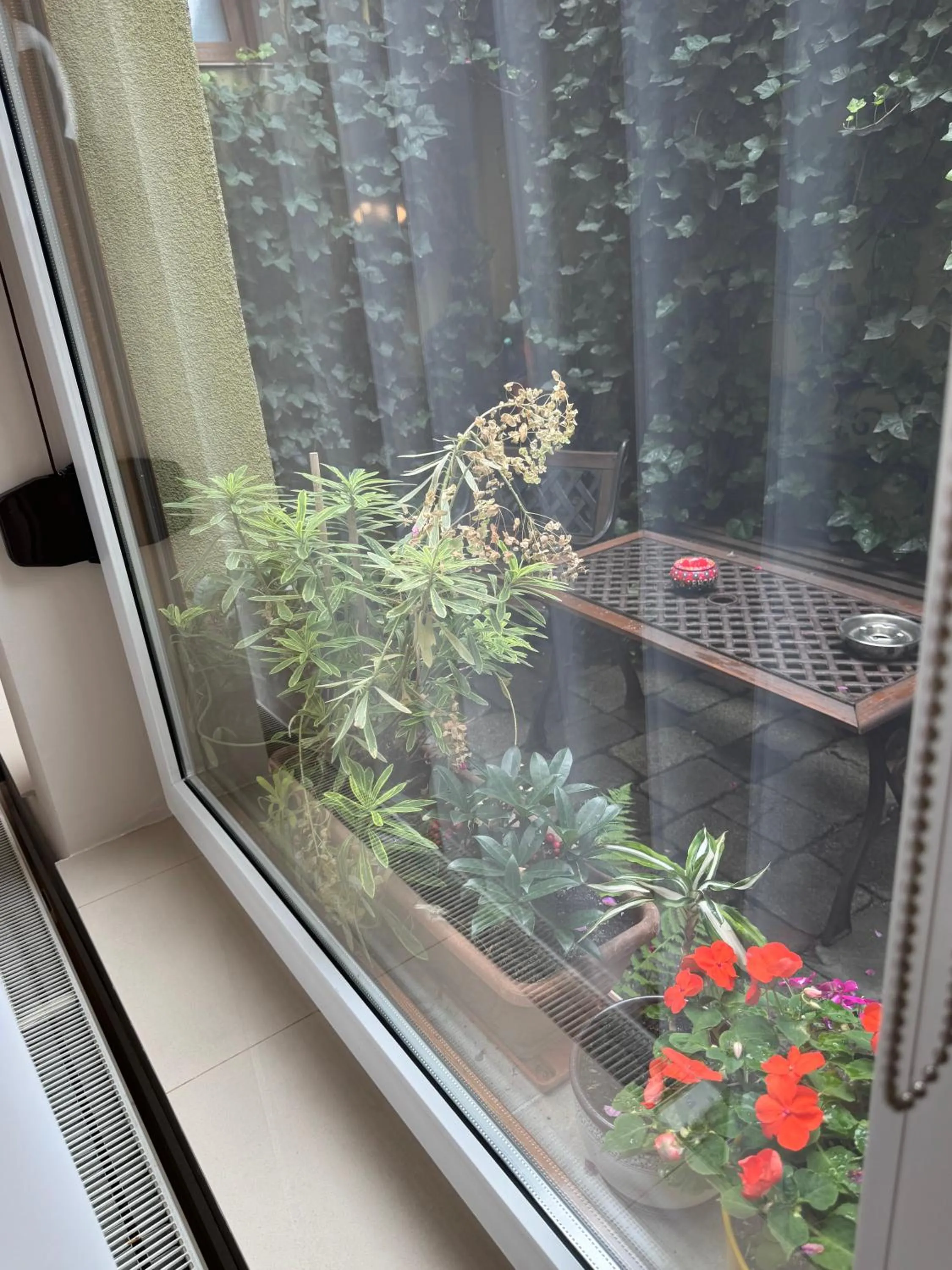 Balcony/Terrace in Lucas 10 Apartments