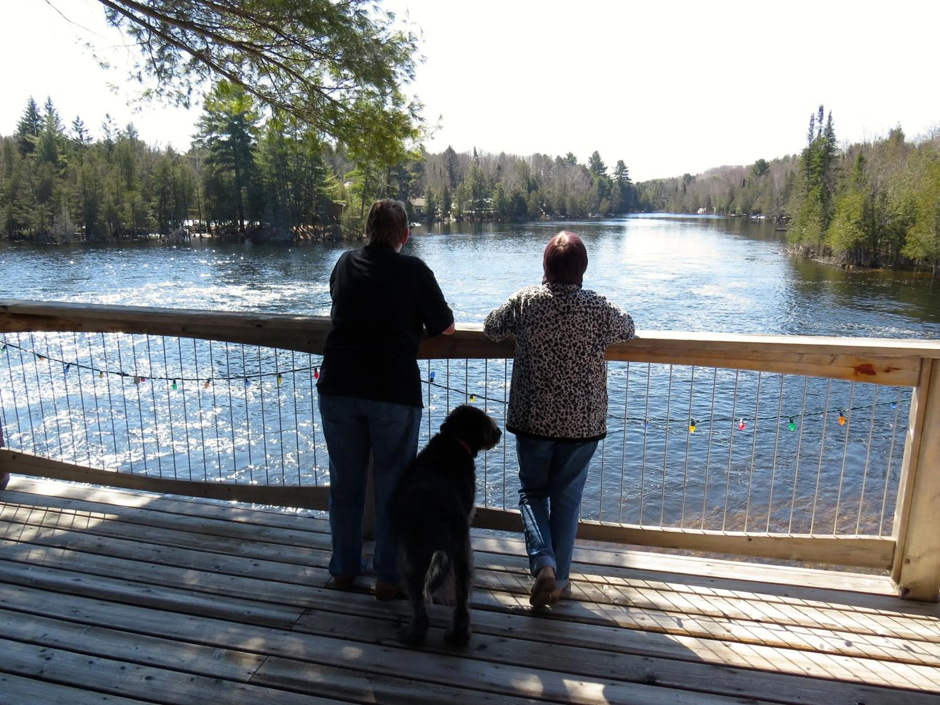 View (from property/room) in Sunny Rock Bed & Breakfast
