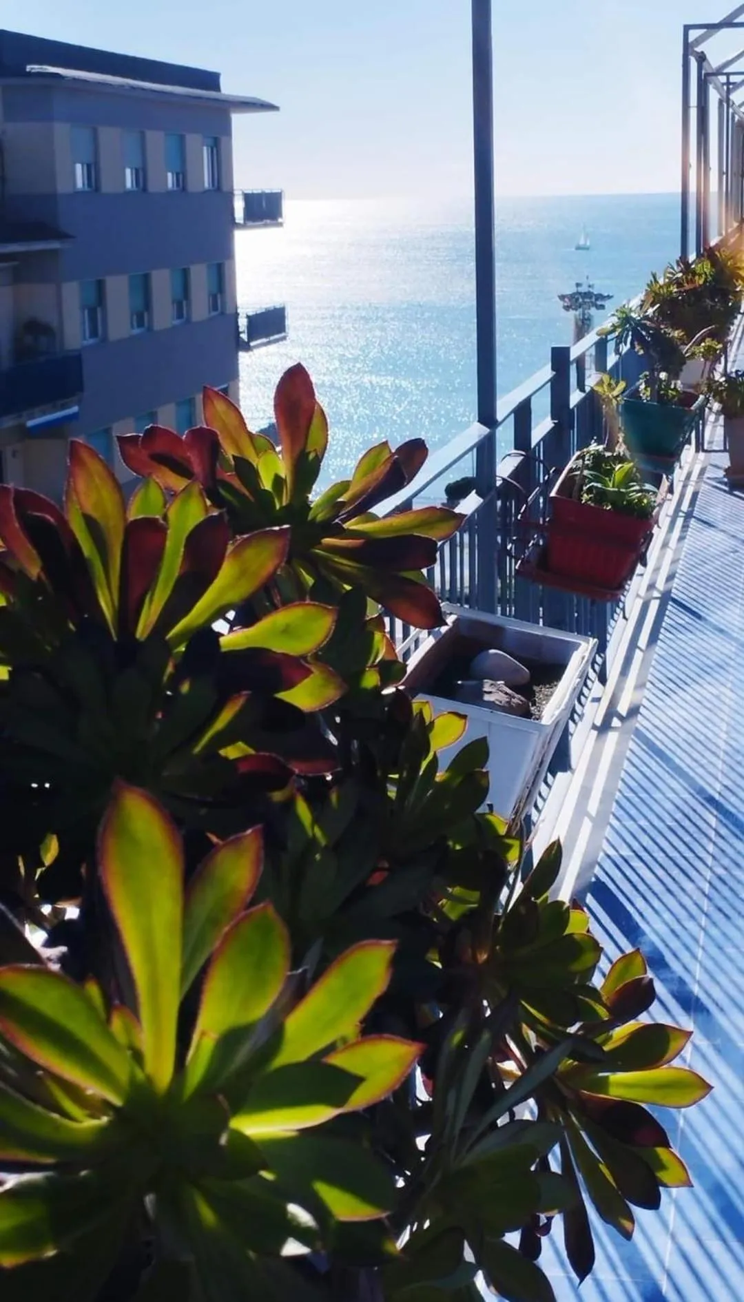 Day in Alta Quota RELAX on the SEA