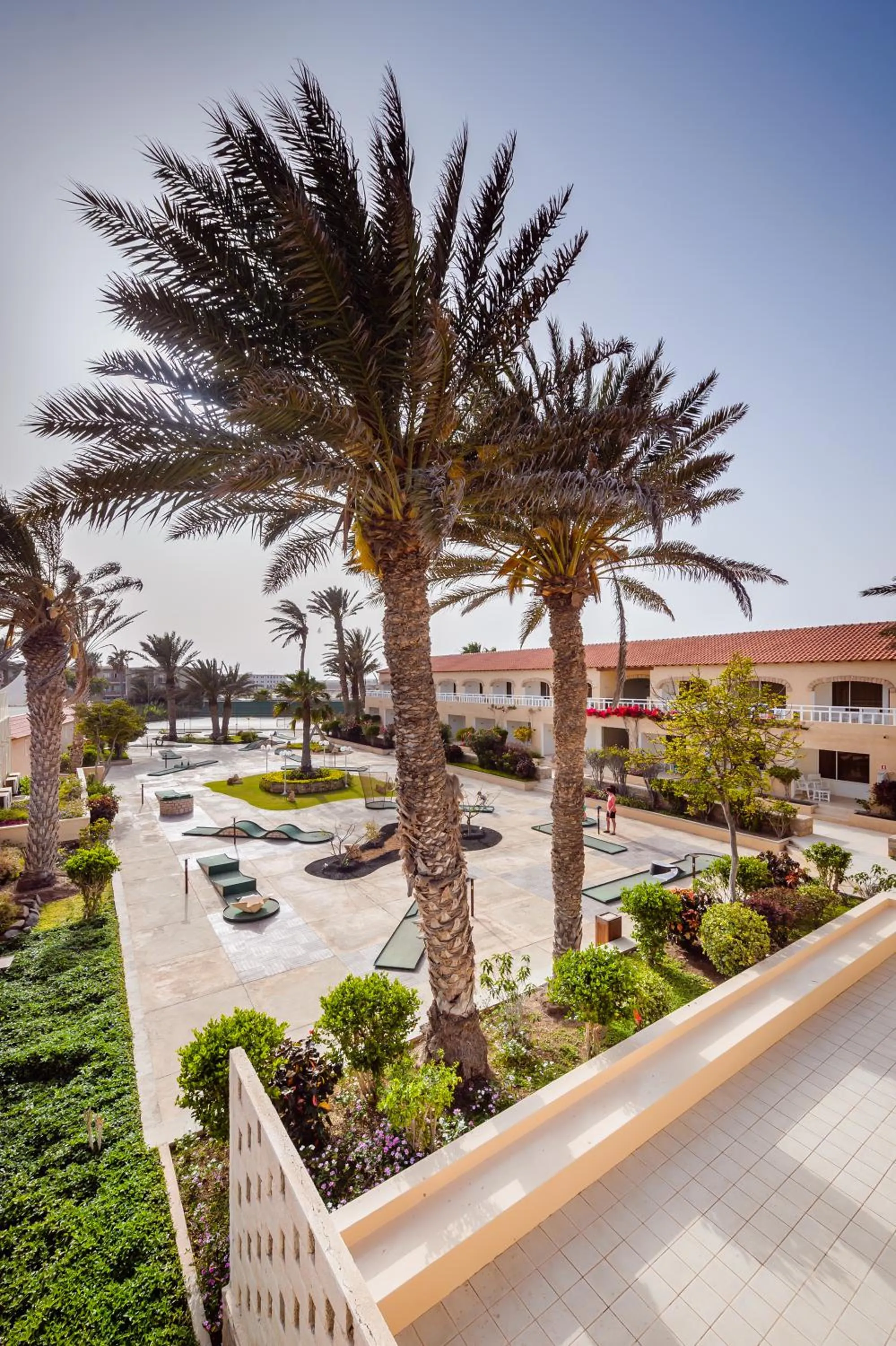 Entertainment in Hotel Morabeza