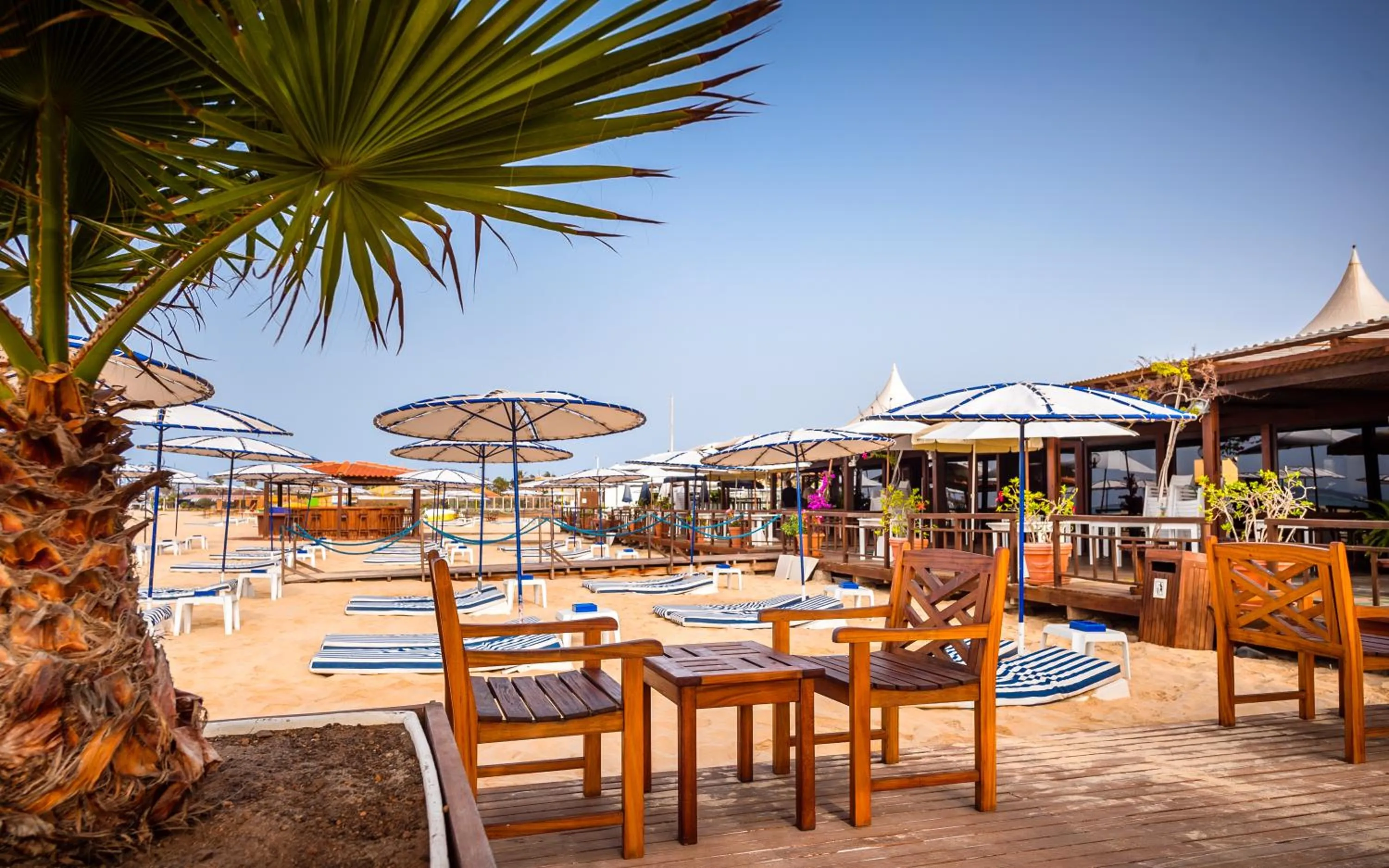 Lounge or bar in Hotel Morabeza