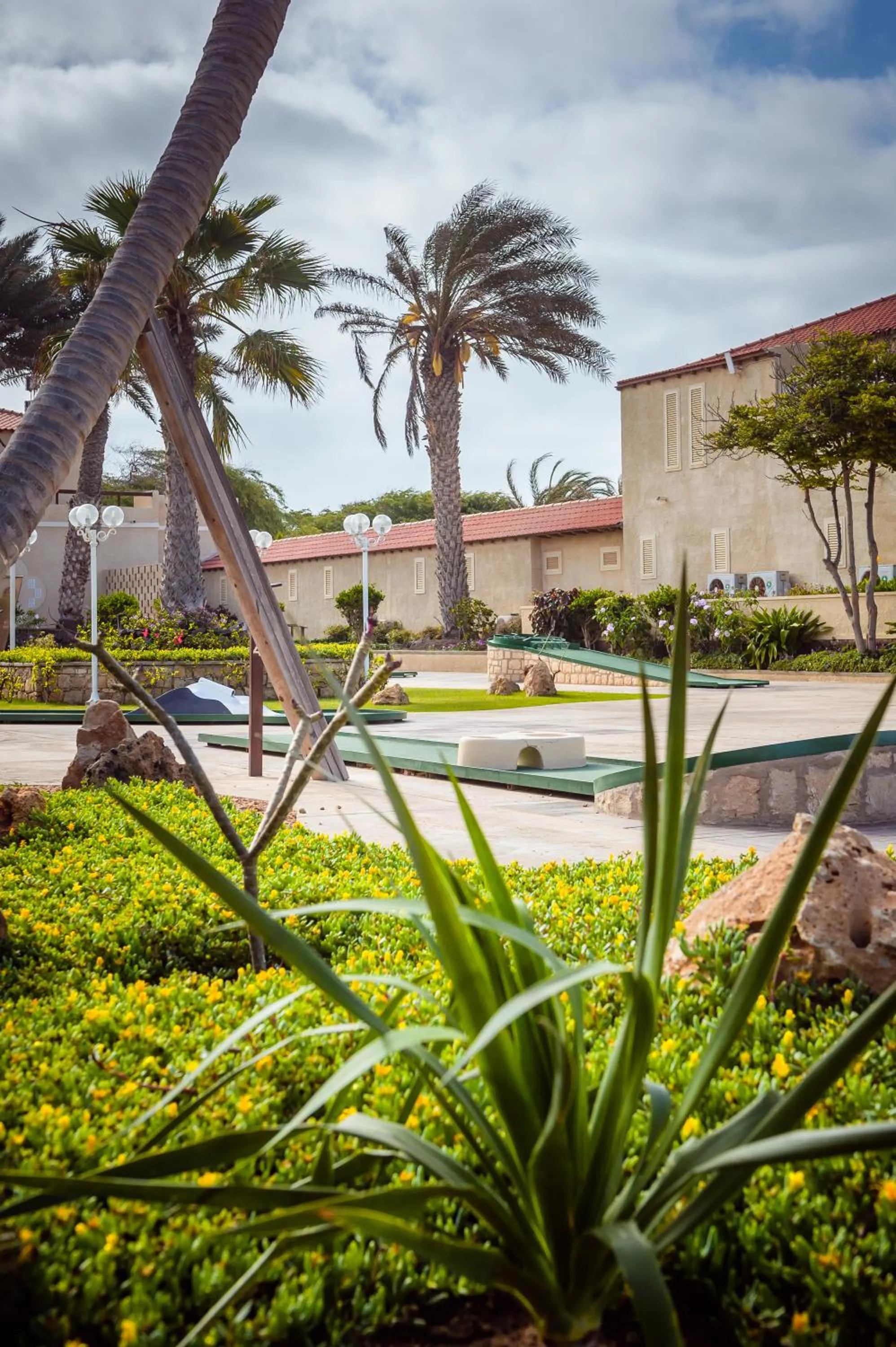 Entertainment in Hotel Morabeza