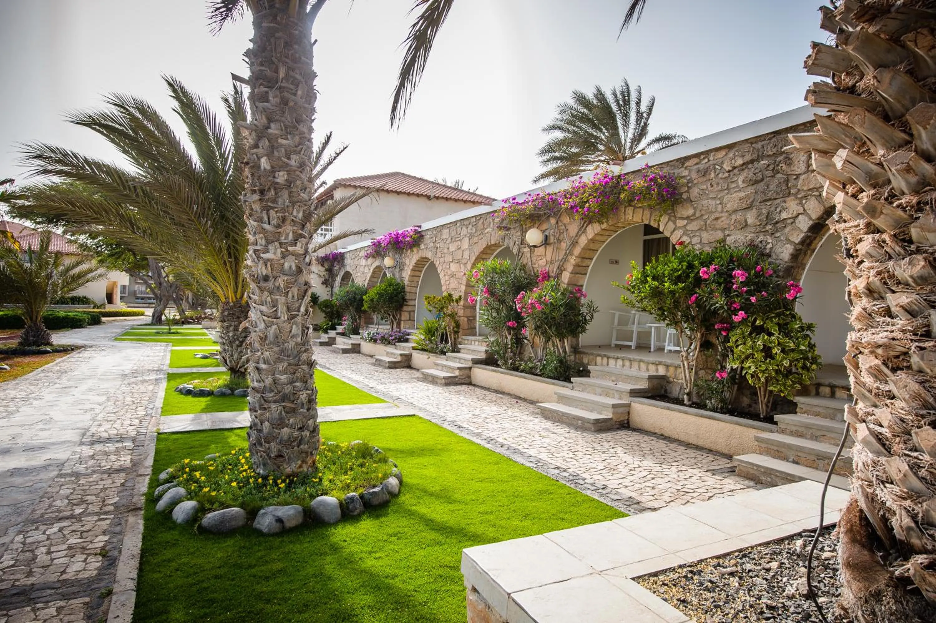 Garden in Hotel Morabeza