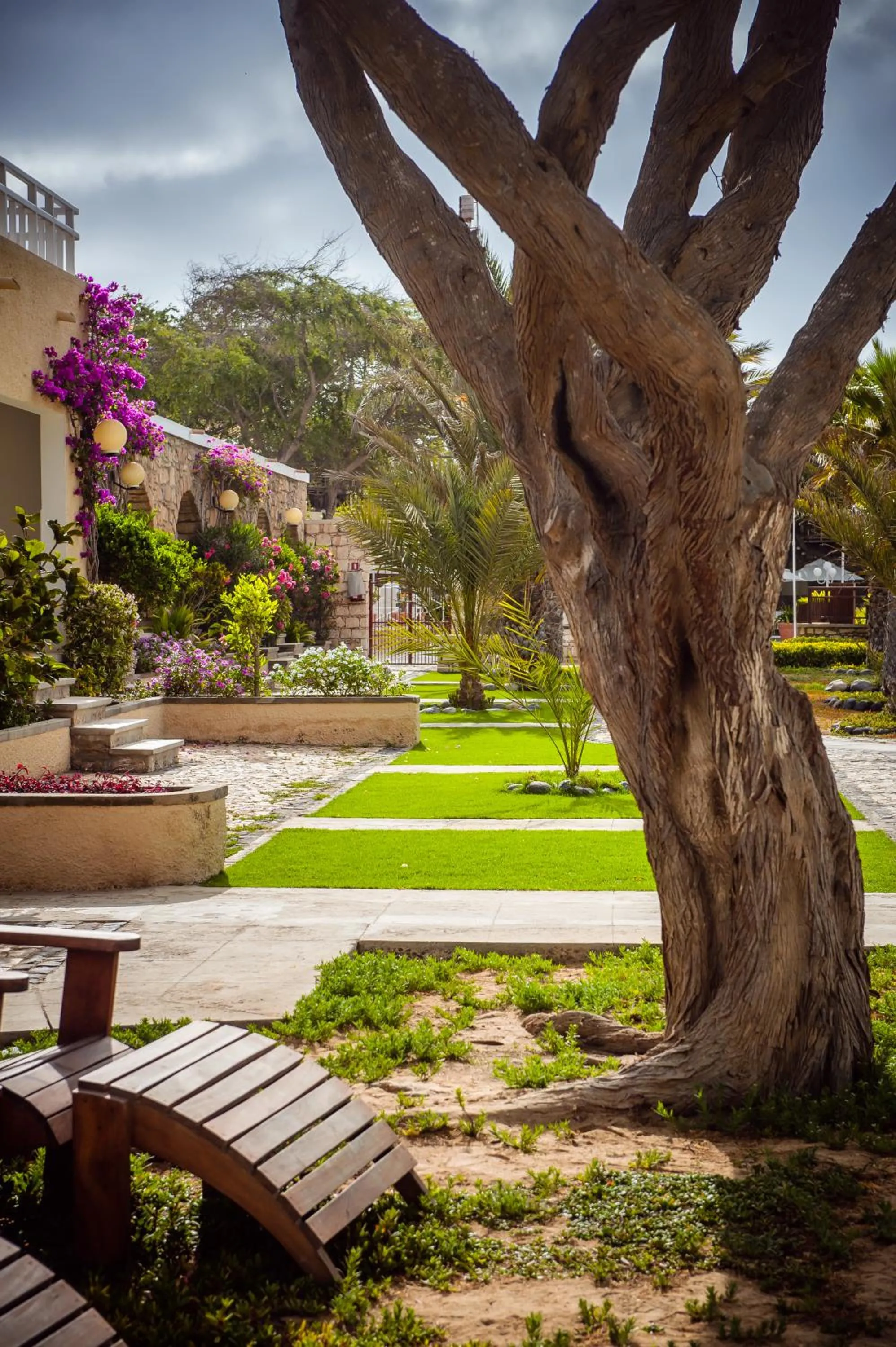 Garden view in Hotel Morabeza