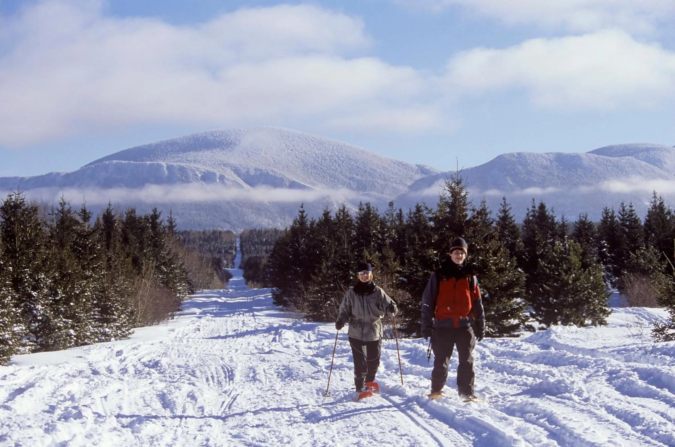 Activities in Le Gaspesiana