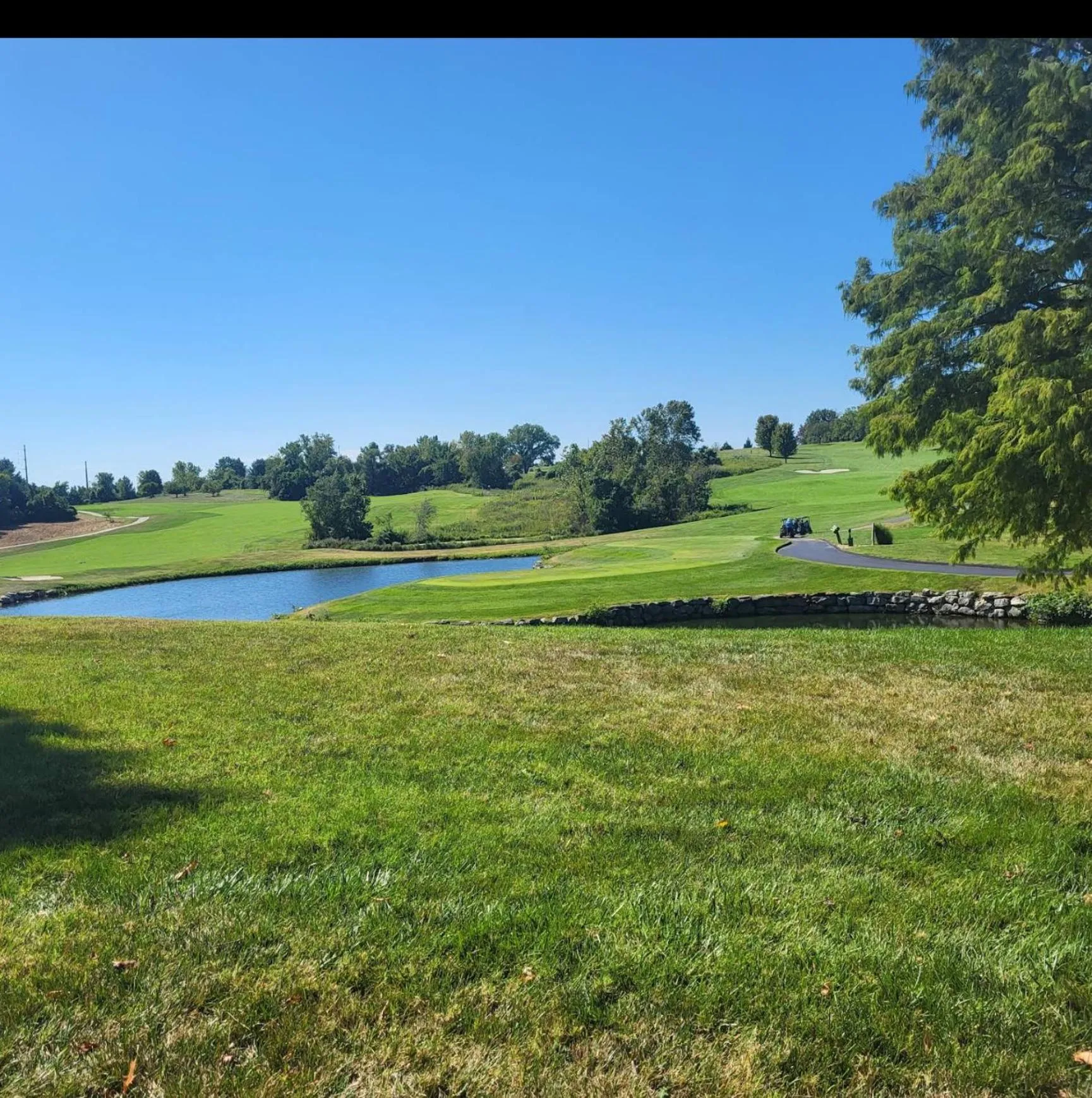 Spring in Sonesta Essential Hotels & Suites Kansas City Blue Springs