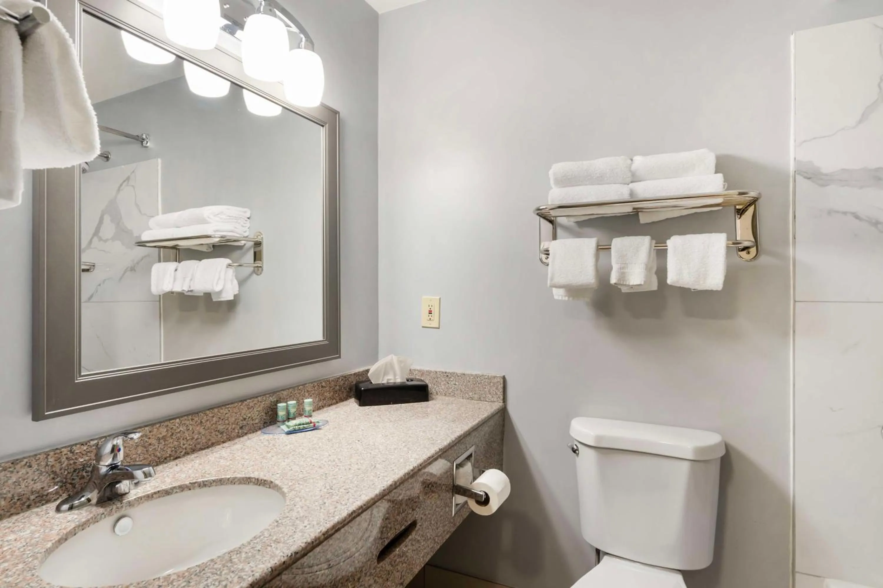 Bathroom in Best Western Morton Inn