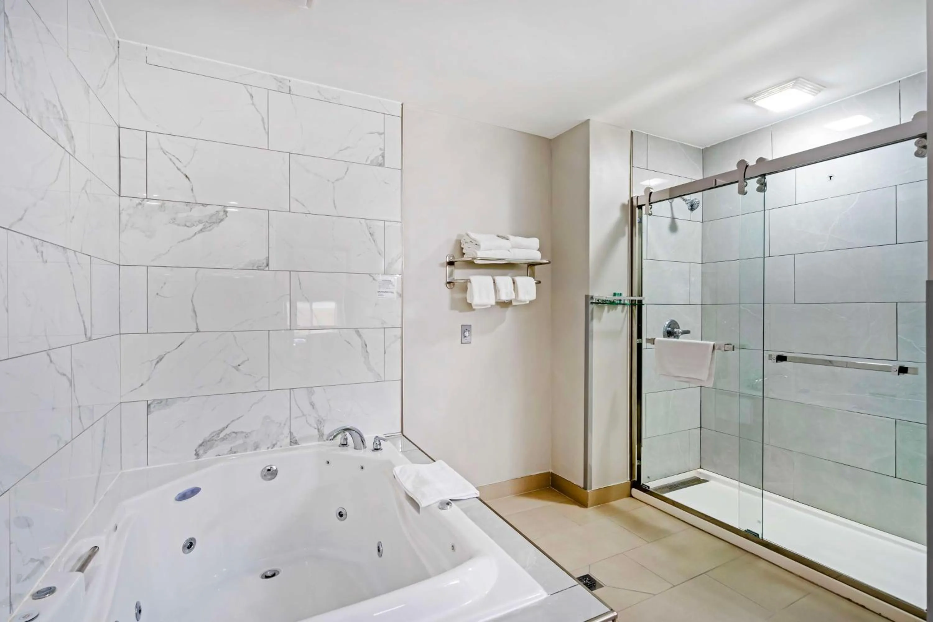 Bathroom in Best Western Morton Inn