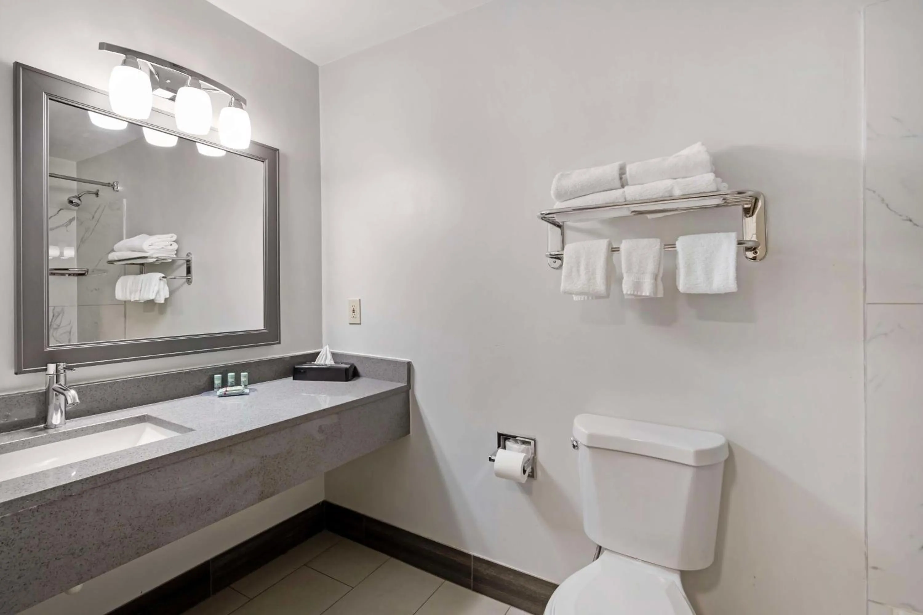 Bathroom in Best Western Morton Inn