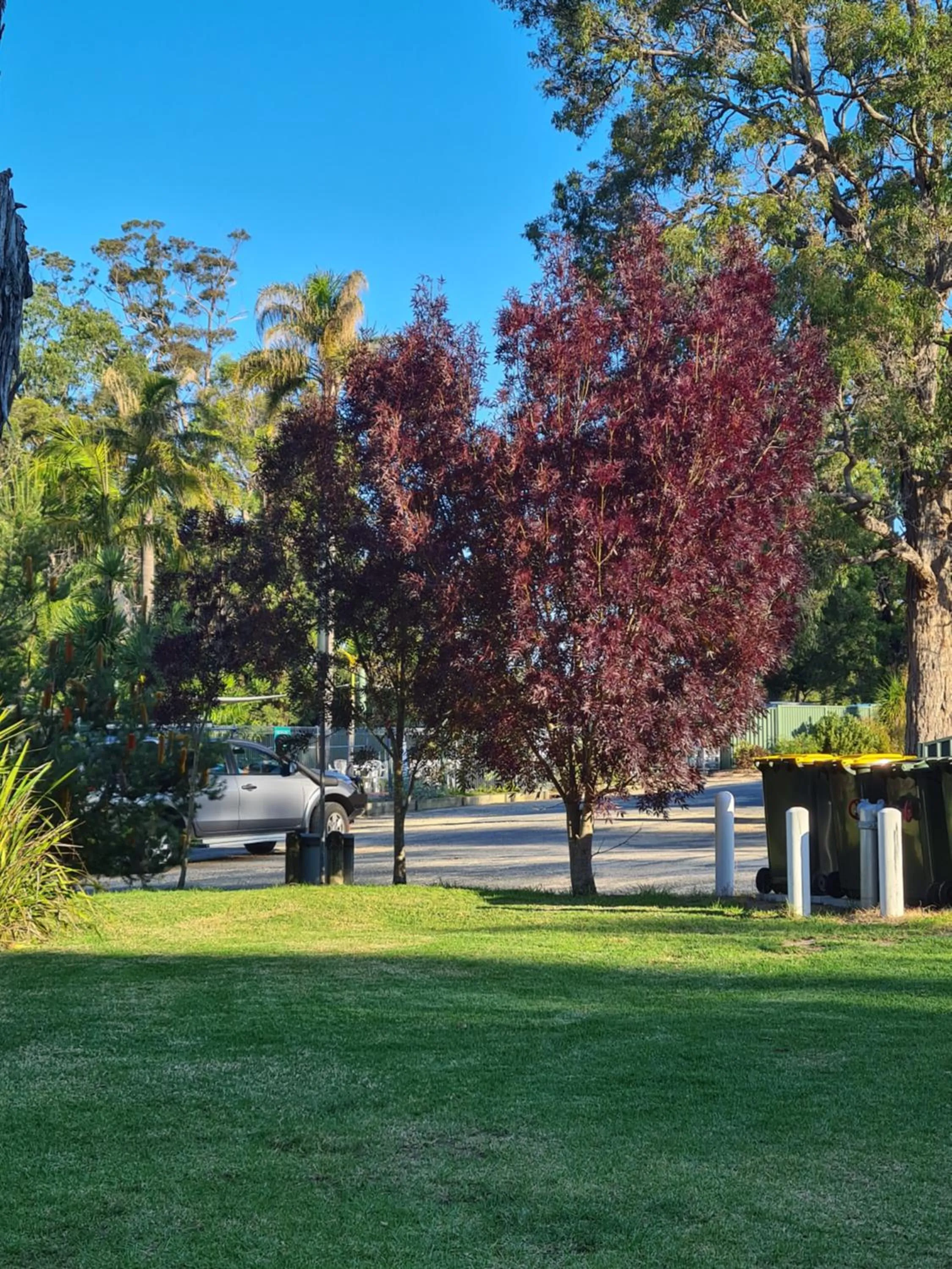 Garden in Mallacoota's Shady Gully Caravan Park