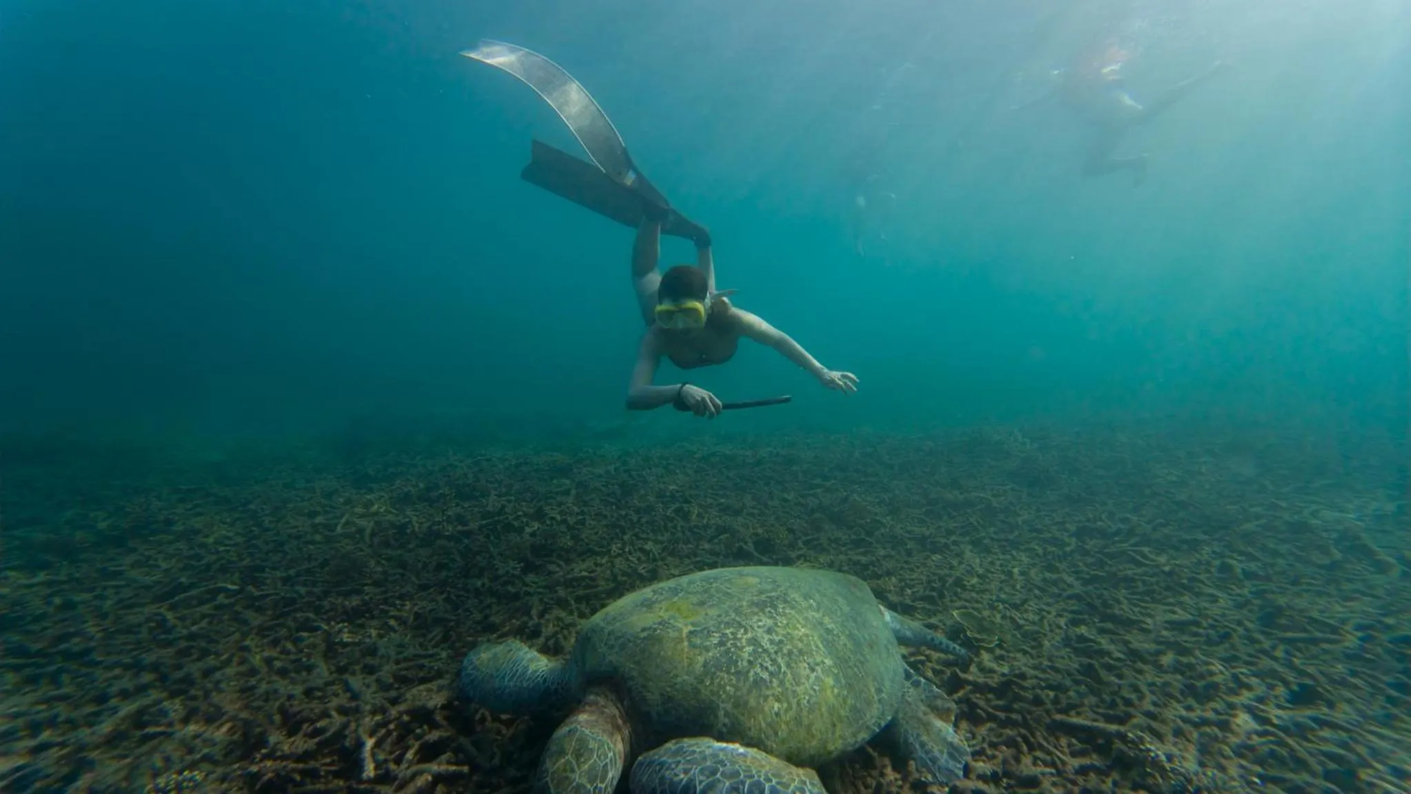 People in Taatoh Seaview Resort - SHA Plus