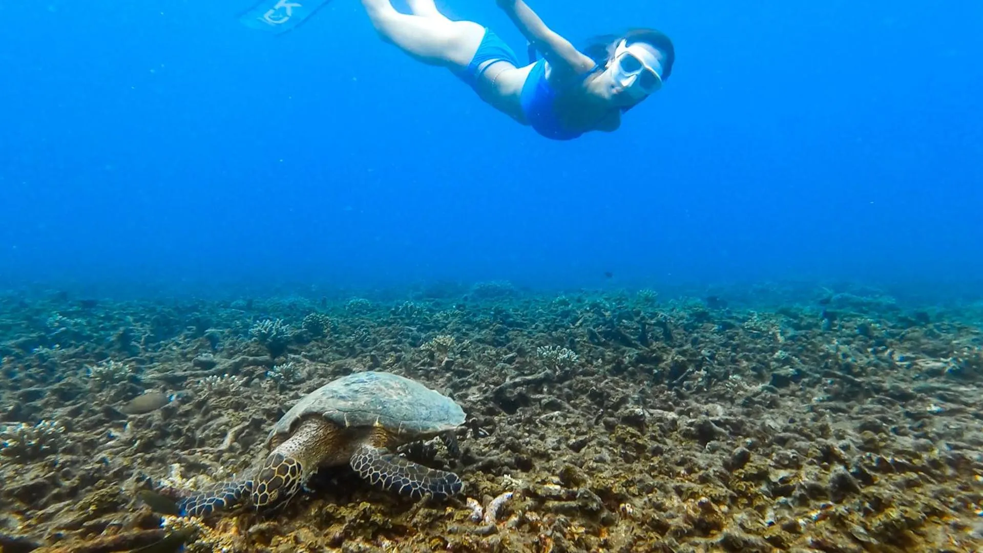 Activities in Taatoh Seaview Resort - SHA Plus