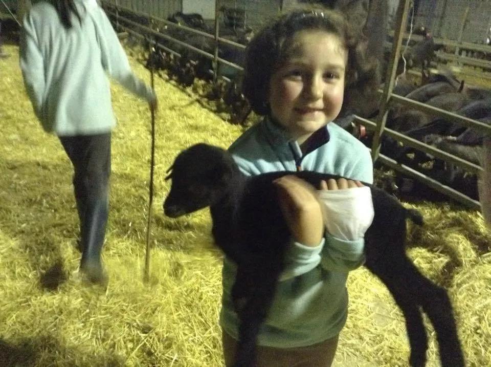 Hotel Rural Yeguada Albeitar