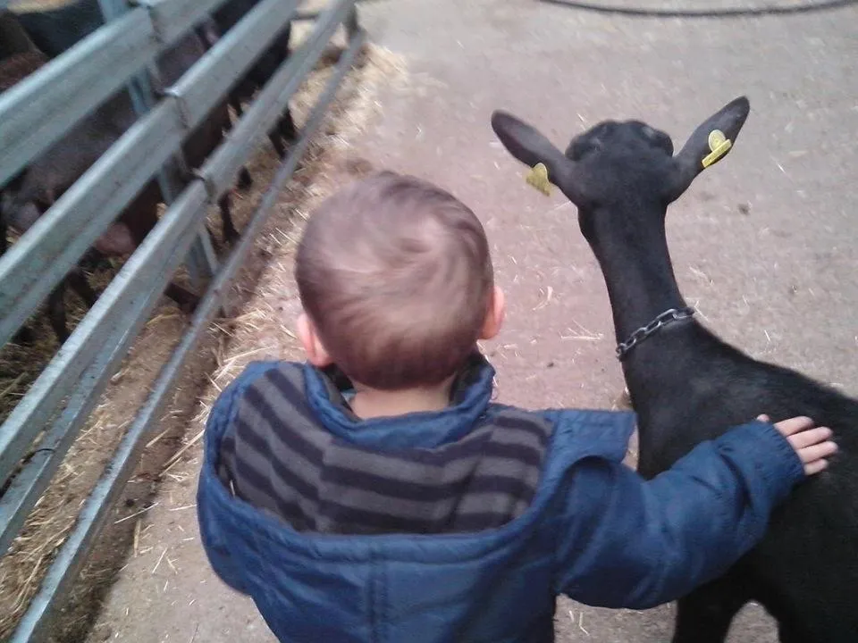 Hotel Rural Yeguada Albeitar