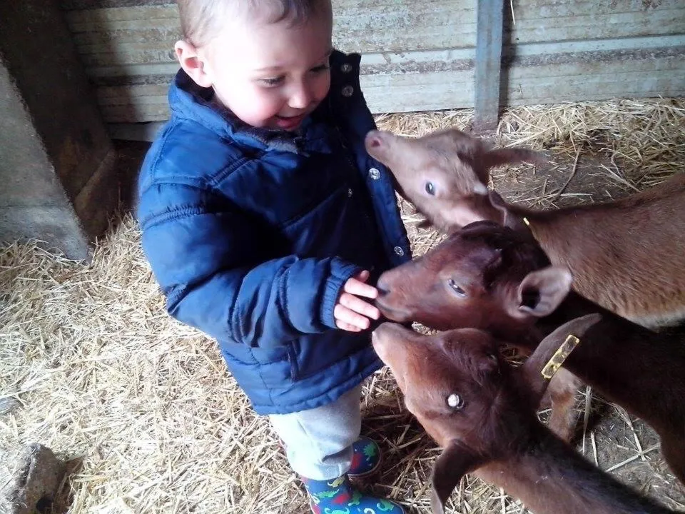 Hotel Rural Yeguada Albeitar