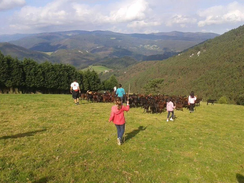 Property building in Hotel Rural Yeguada Albeitar