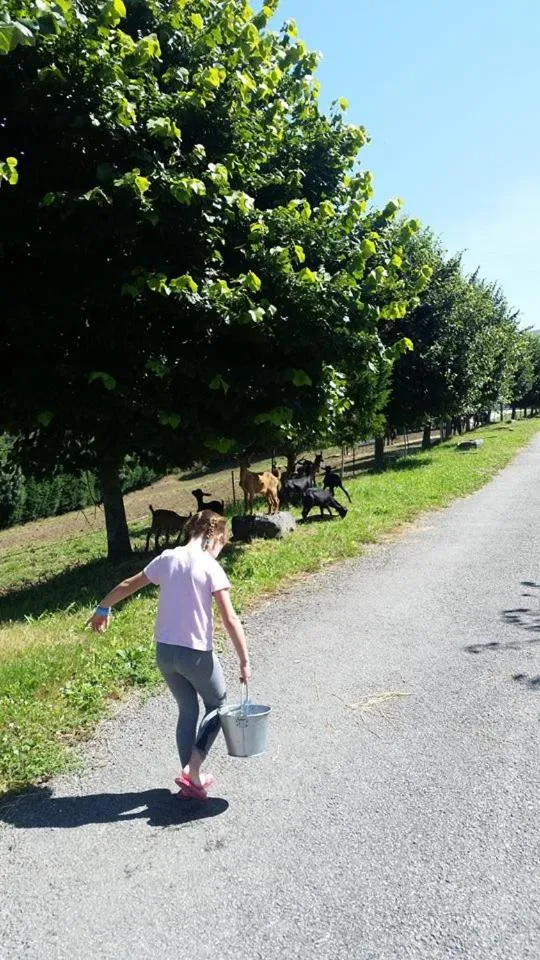View (from property/room) in Hotel Rural Yeguada Albeitar