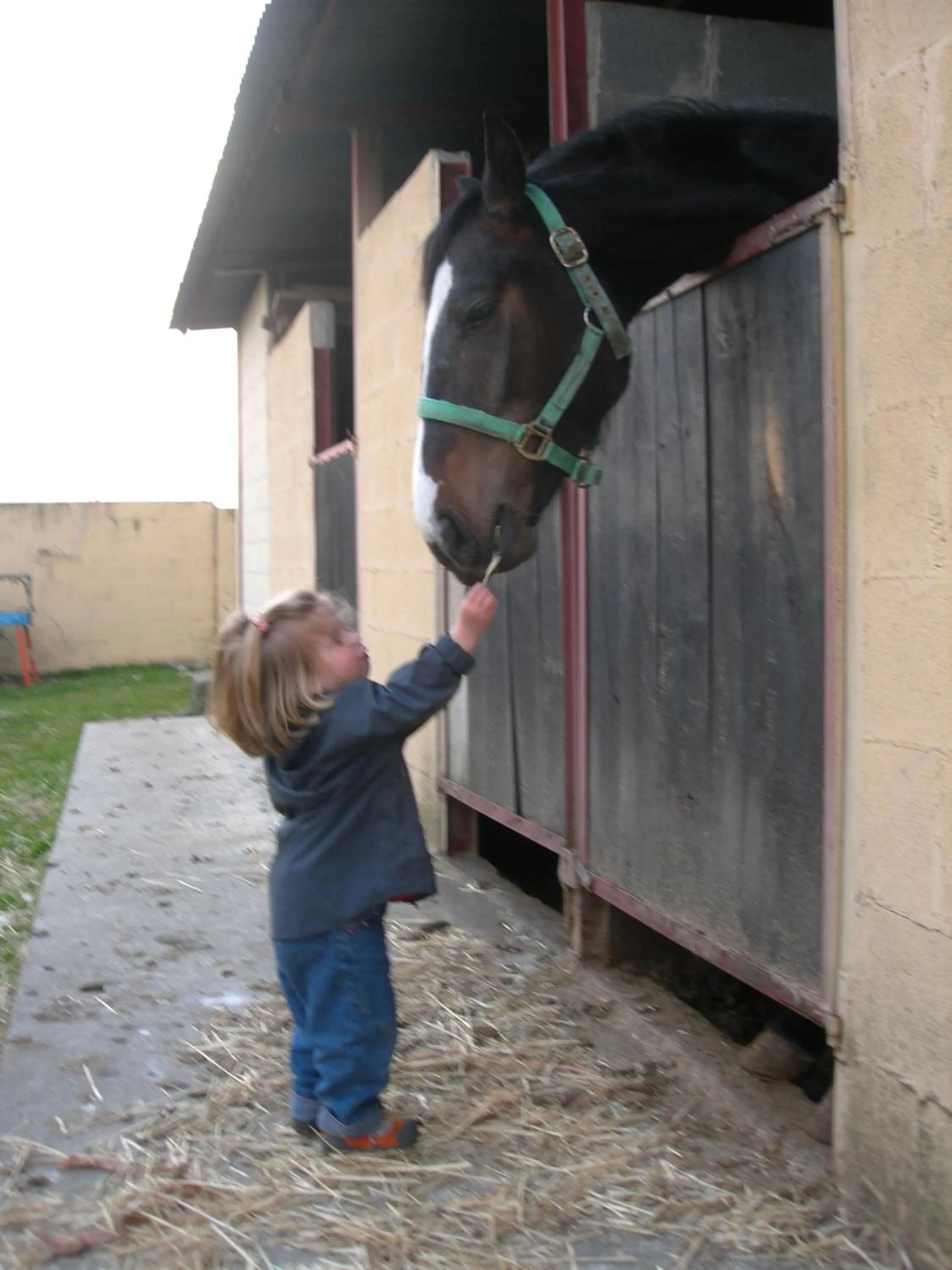Hotel Rural Yeguada Albeitar