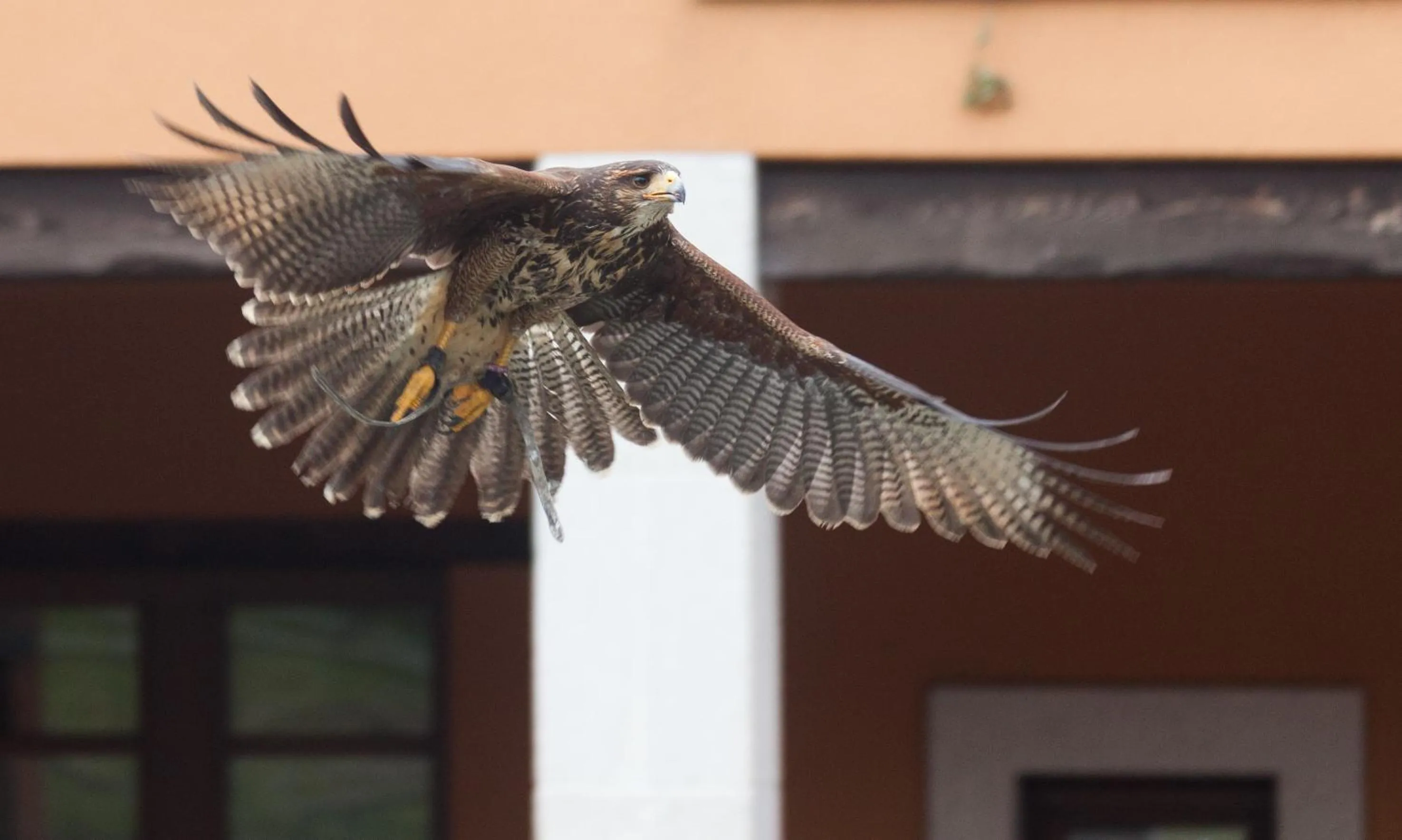 Activities in Hotel Rural Yeguada Albeitar