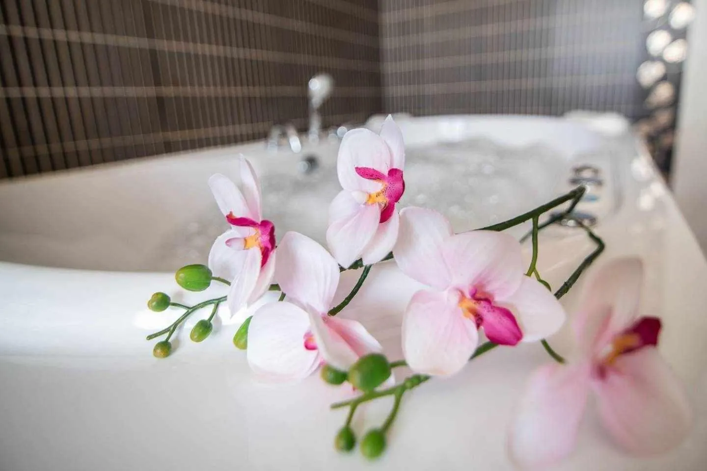 Alojamientos Callejón del Pozo, cerca Puy du Fou