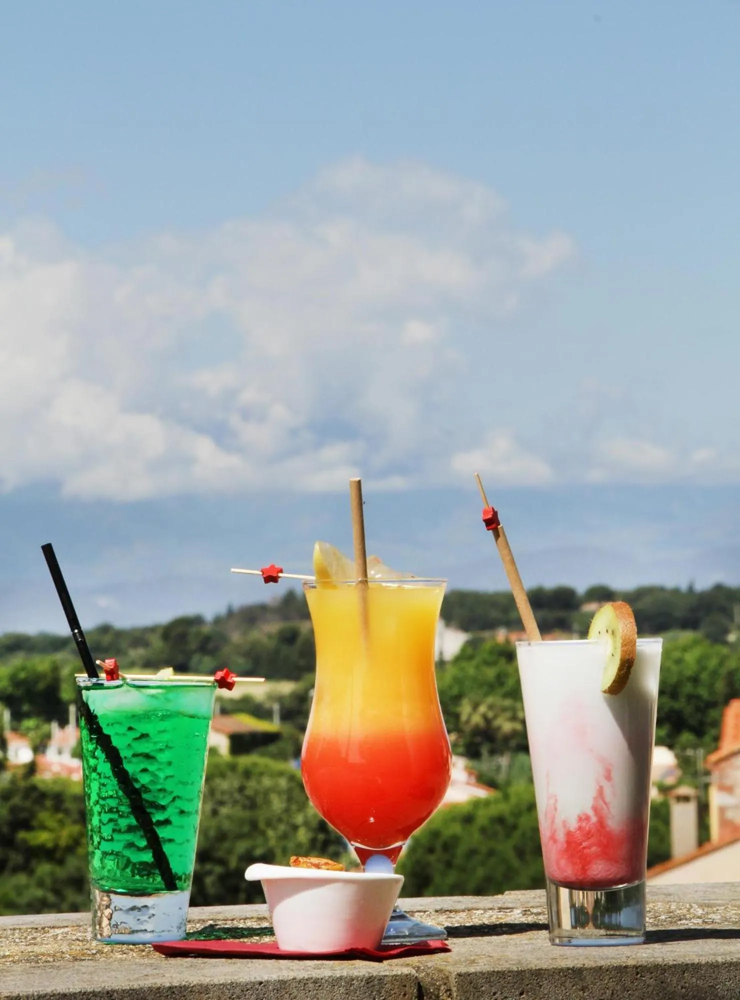 Logis Hotel Restaurant Le Cara Sol