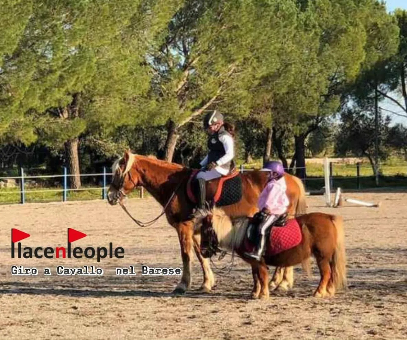 Horse-riding in Morris Bed & Breakfast