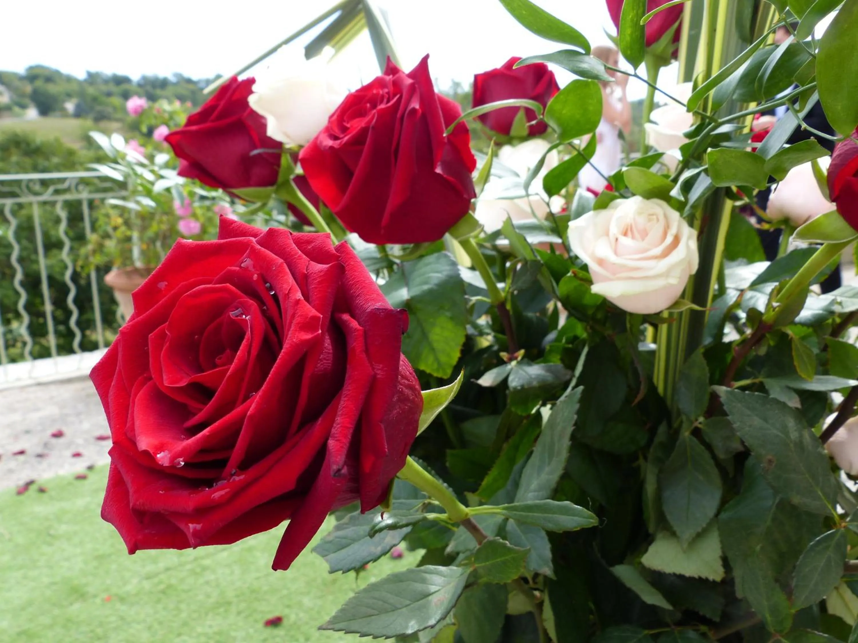 Château du Grand Jardin