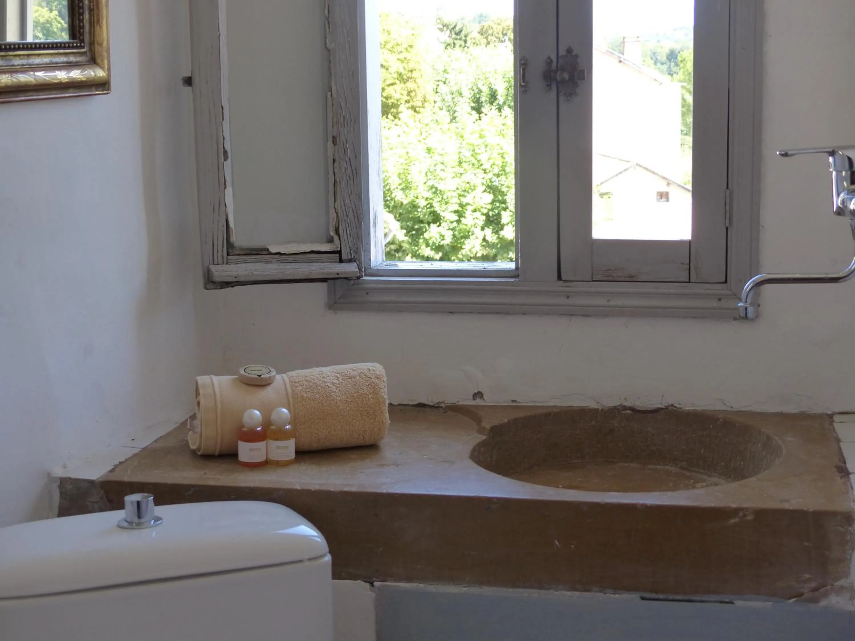 Toilet in Château du Grand Jardin