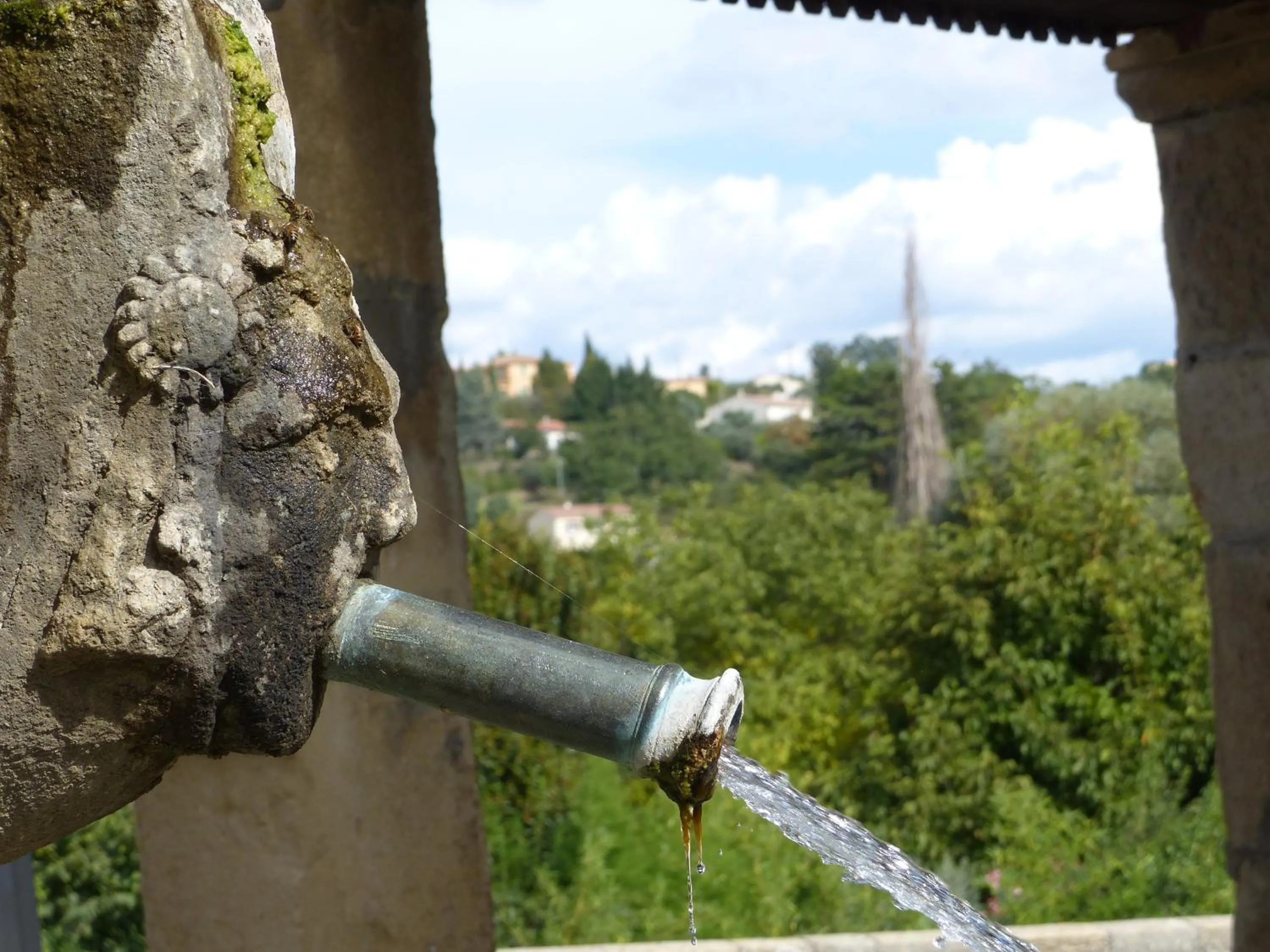 Garden view in Château du Grand Jardin