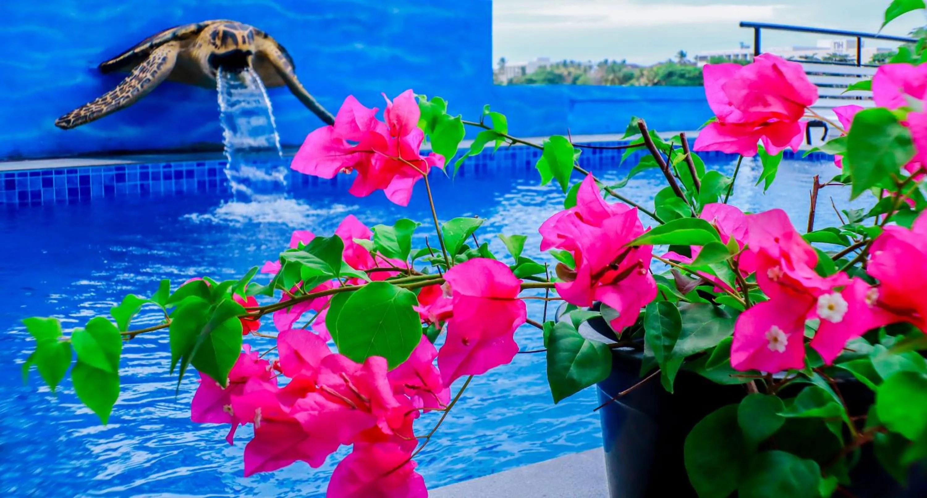 Swimming pool in Amber House Lanka