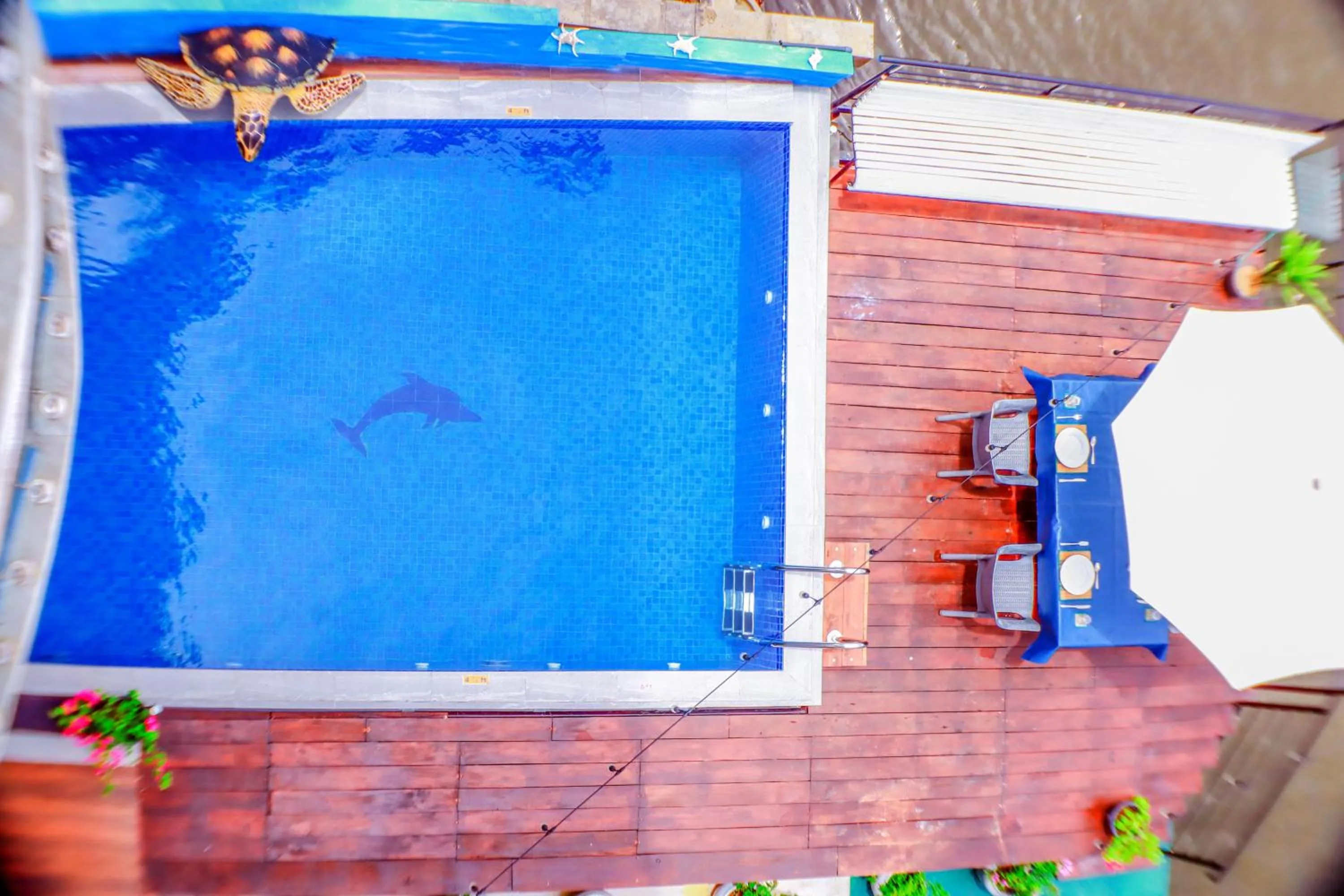 Swimming pool in Amber House Lanka